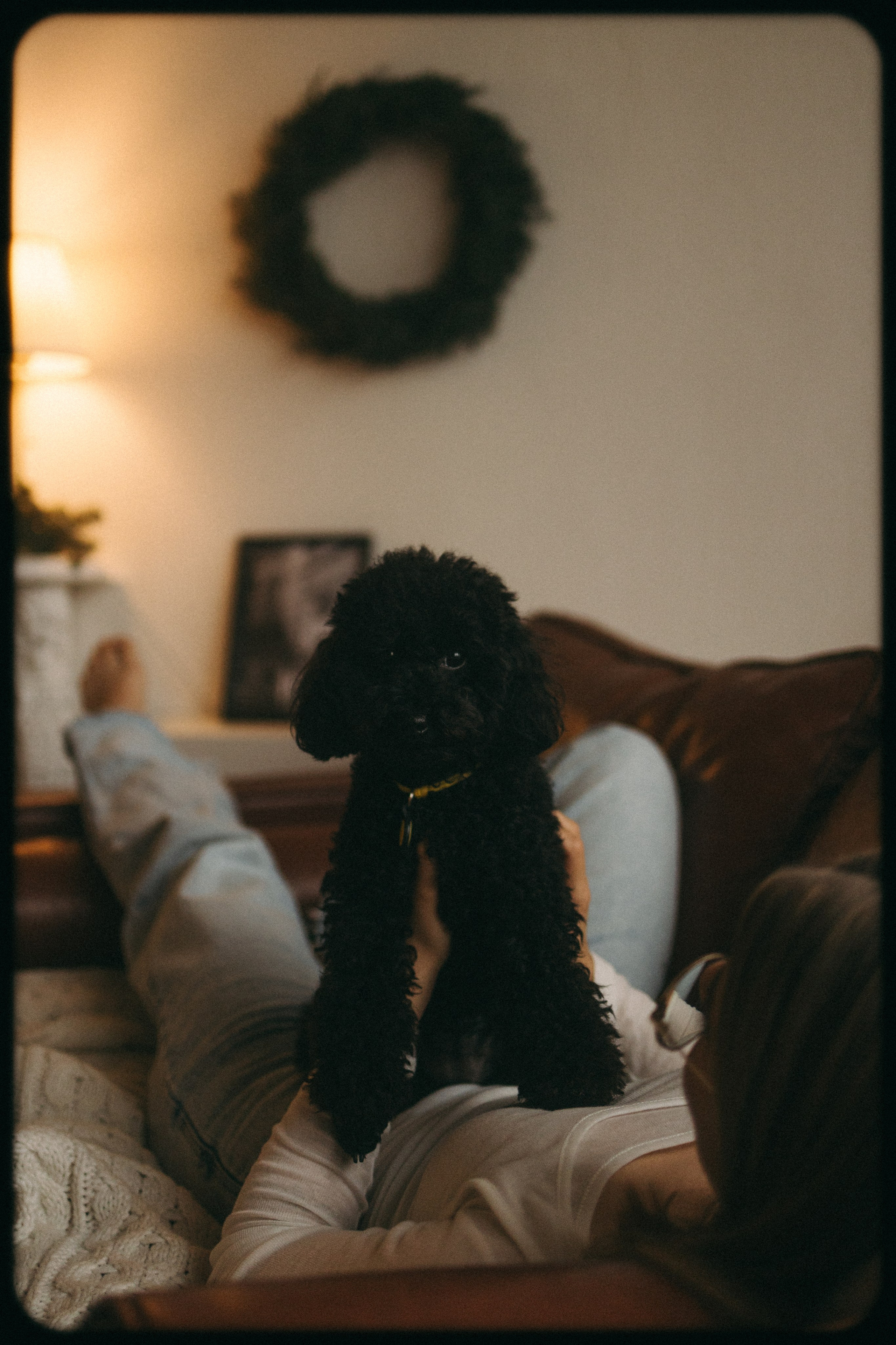 Полина и Мия. Фотораф — анималист Мария Шистка