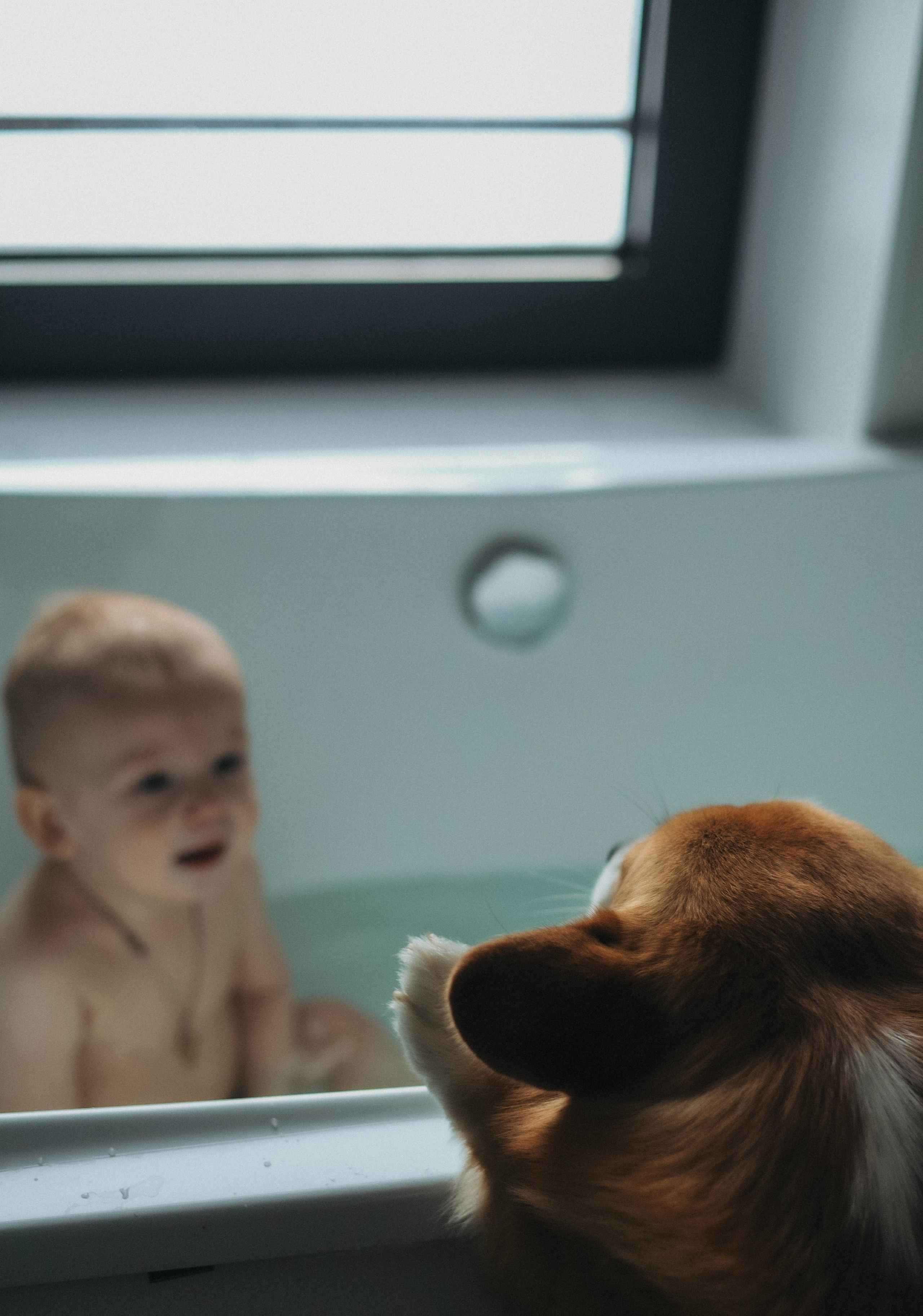 Валерия, Вова и Персик. Семейный фотограф в Москве Дарья Верещагина