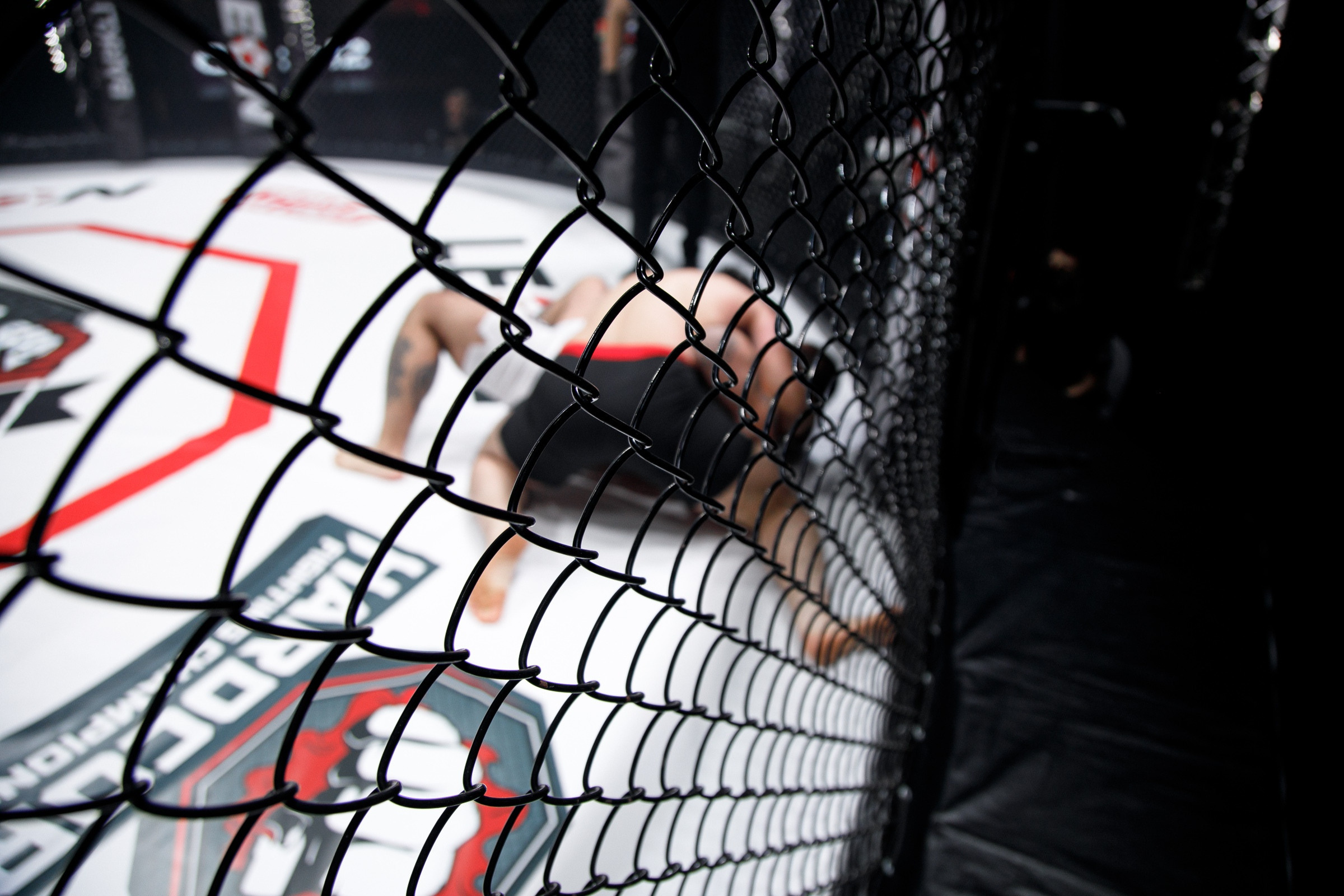 Спортивные события. Репортажный фотограф Александр Задорин, Минск, Беларусь