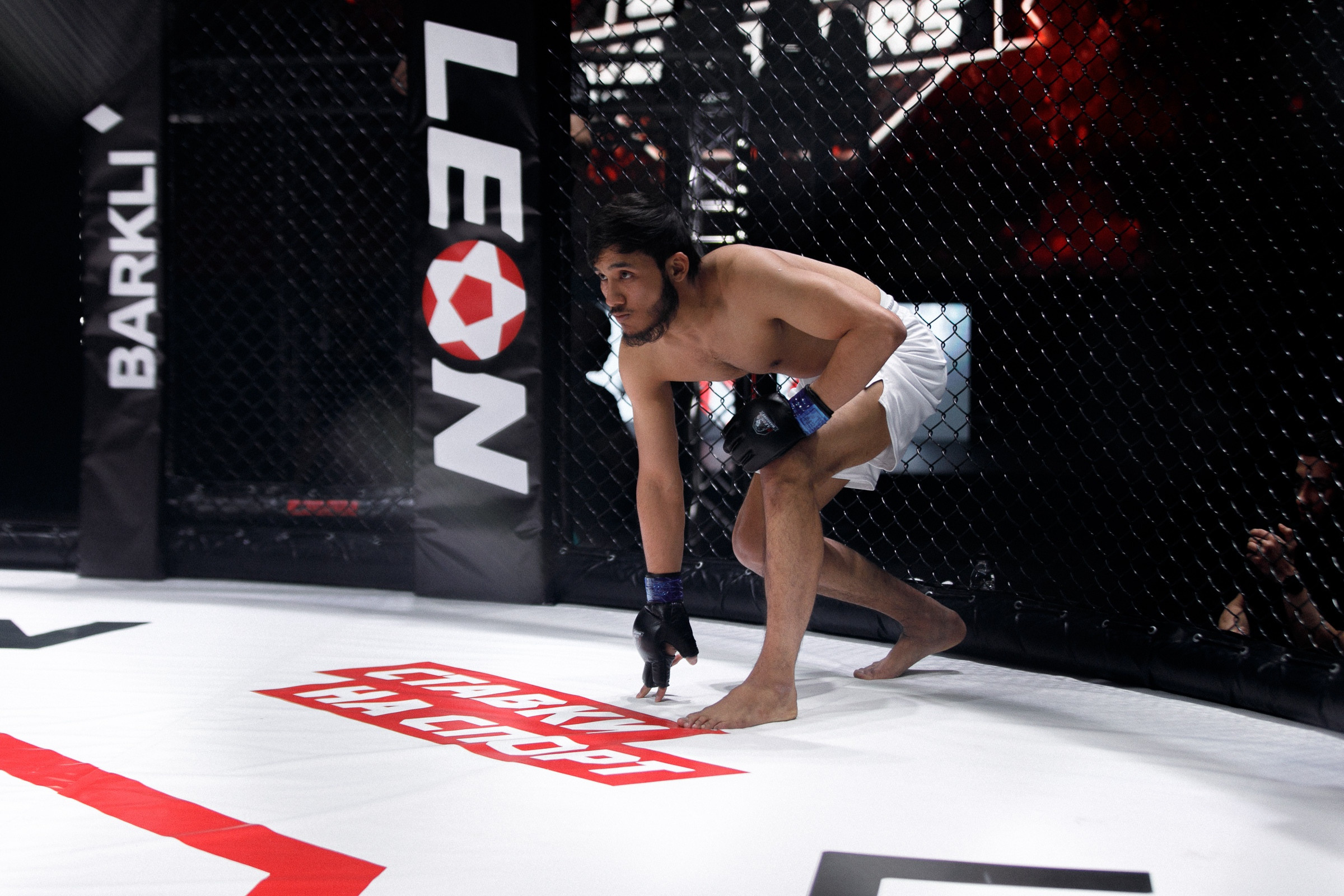 Спортивные события. Репортажный фотограф Александр Задорин, Минск, Беларусь