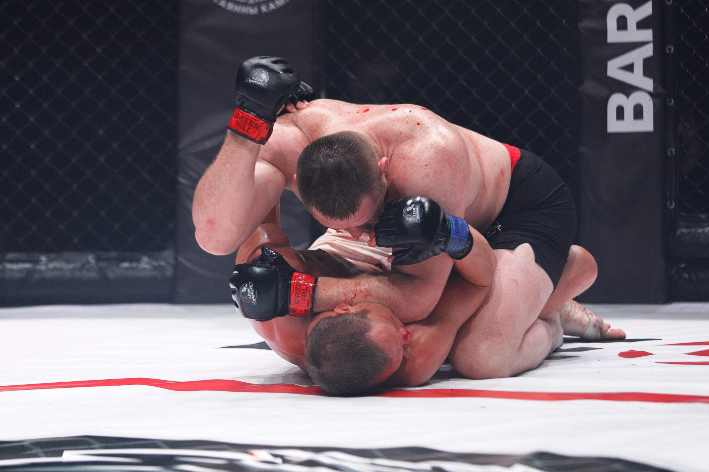 Спортивные события. Репортажный фотограф Александр Задорин, Минск, Беларусь