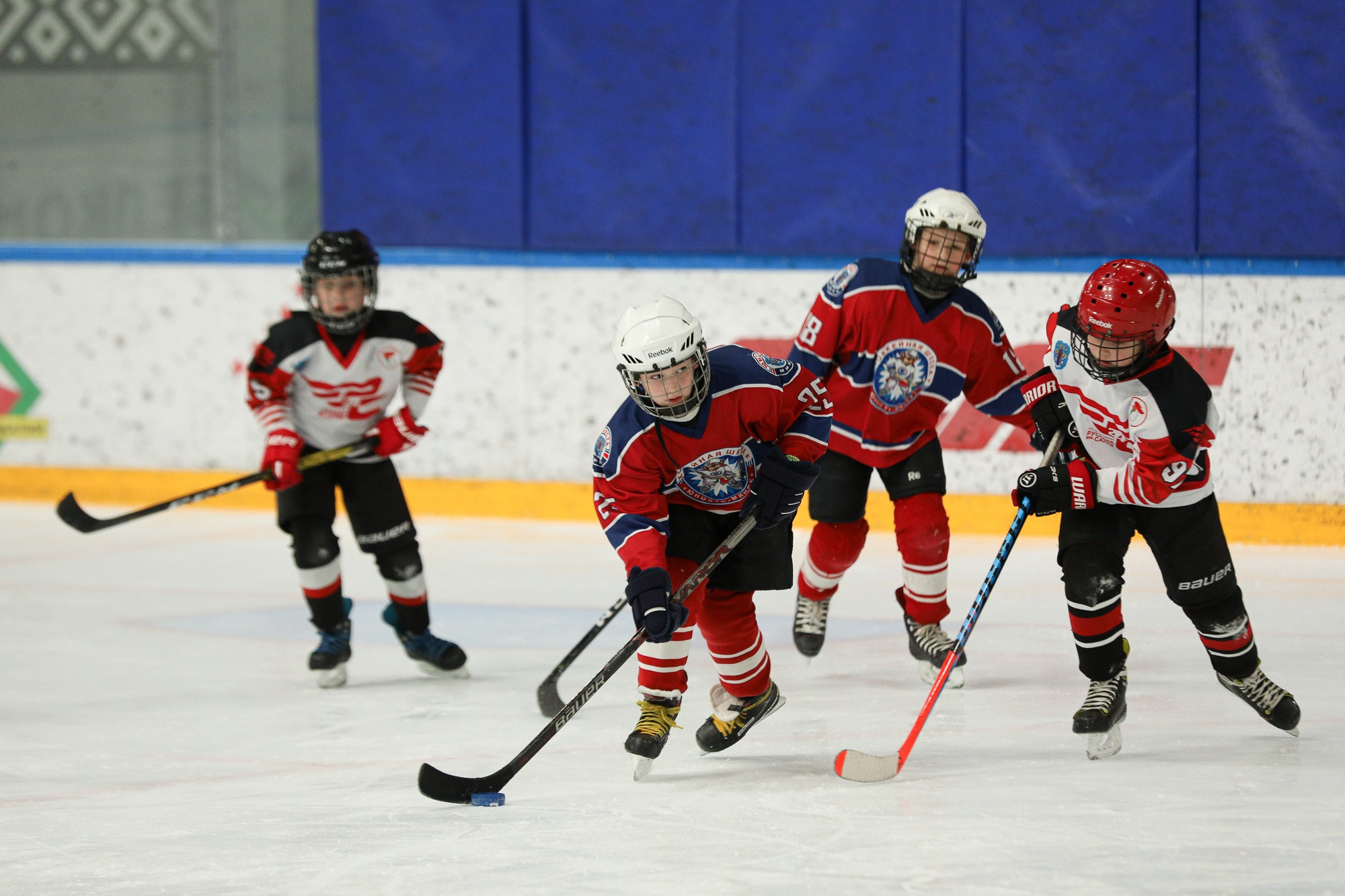 Спортивные события. Репортажный фотограф Александр Задорин, Минск, Беларусь