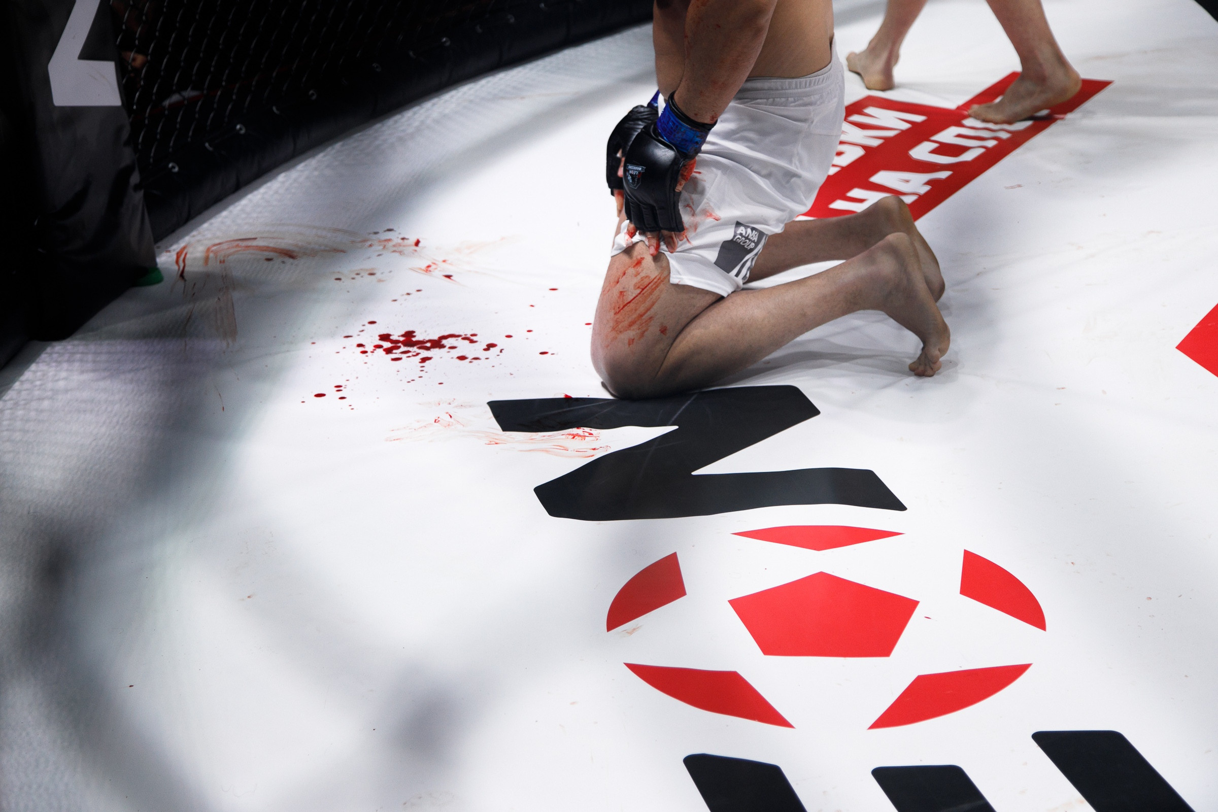 Спортивные события. Репортажный фотограф Александр Задорин, Минск, Беларусь