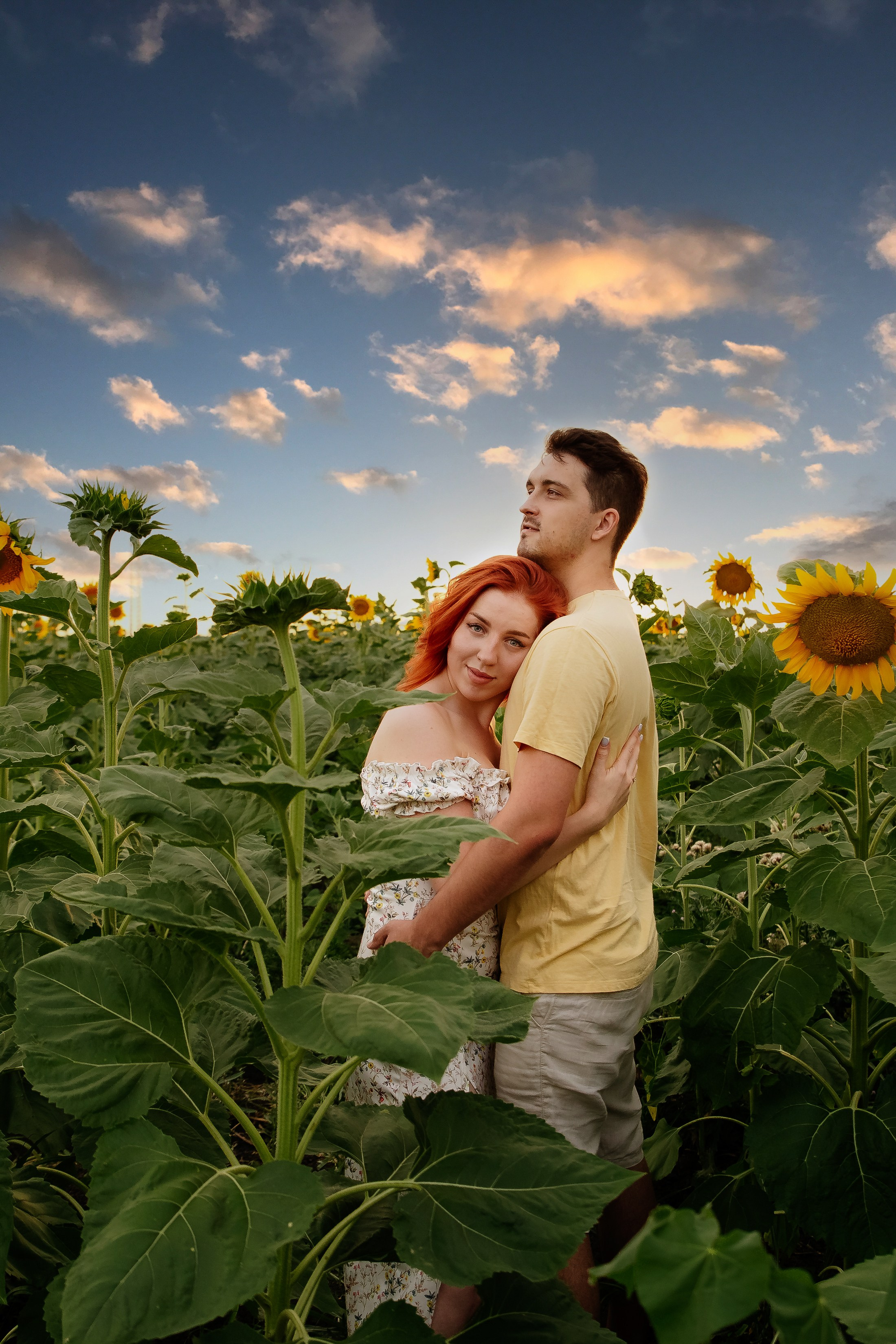 Подсолнухи. Свадебный и семейный фотограф в Краснодаре Илонна Ковалева
