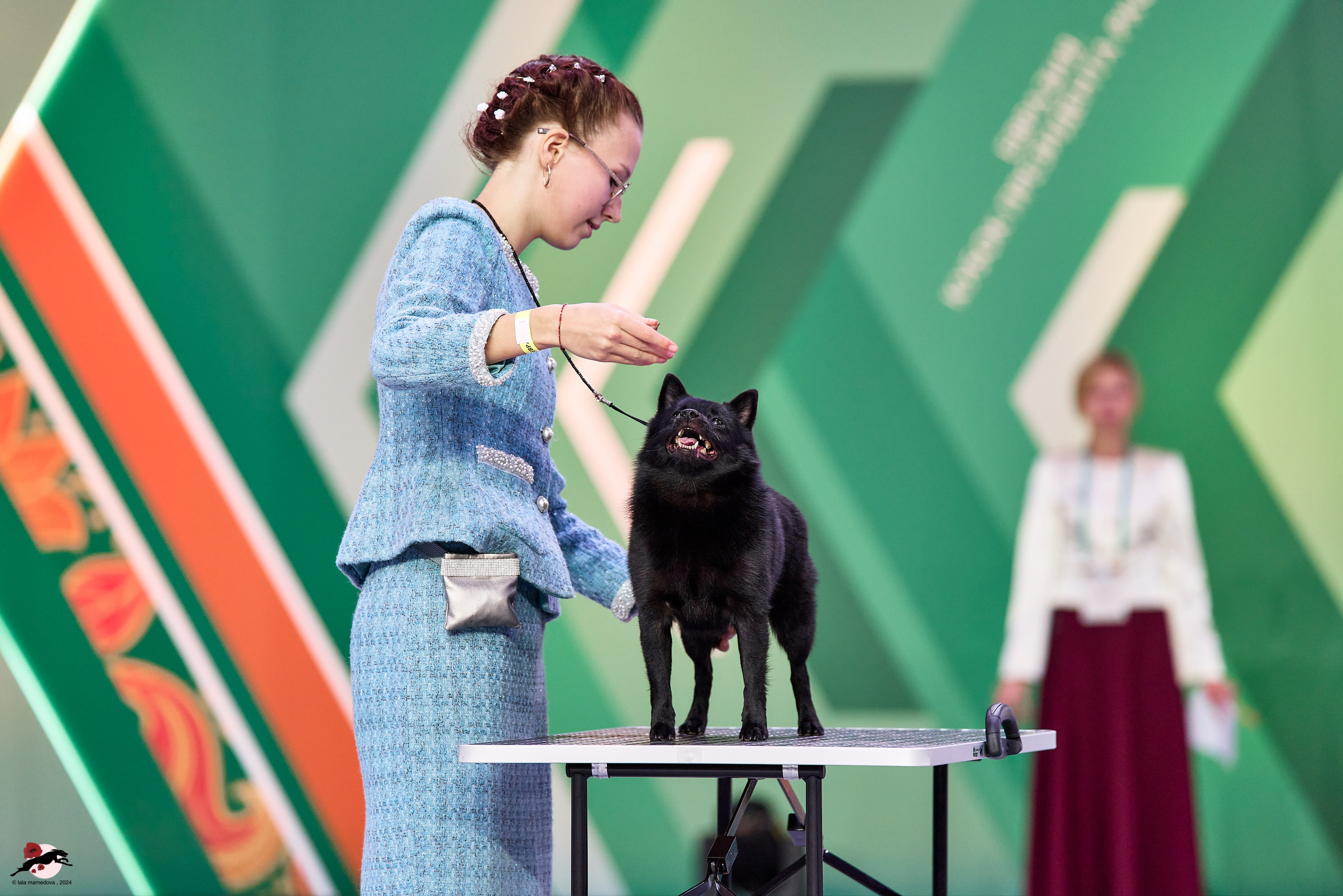 17.11.2024 «ЕВРАЗИЯ. КУБОК СНГ 2024»