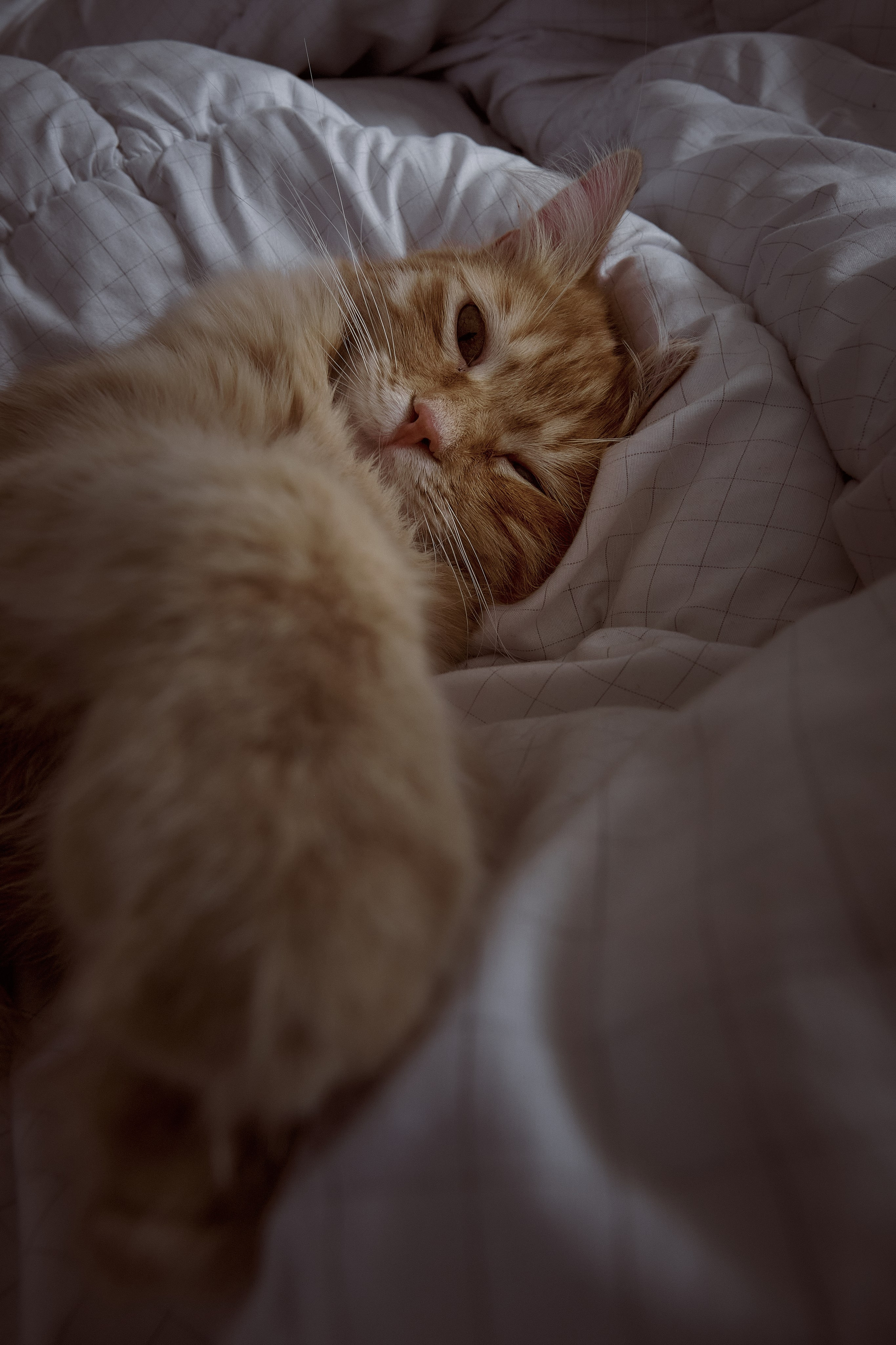 Сyprus > 2024 / april. Aleksandr Kobtsev