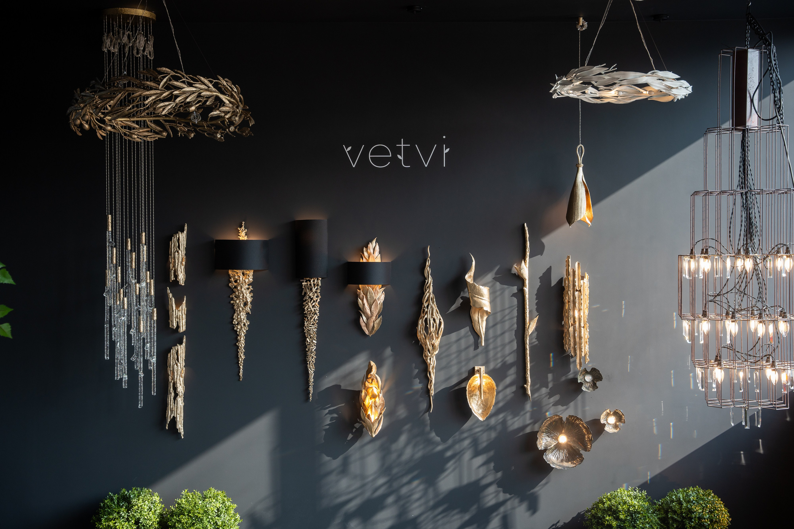 ARGUS VDK. Фотограф Хабаровск