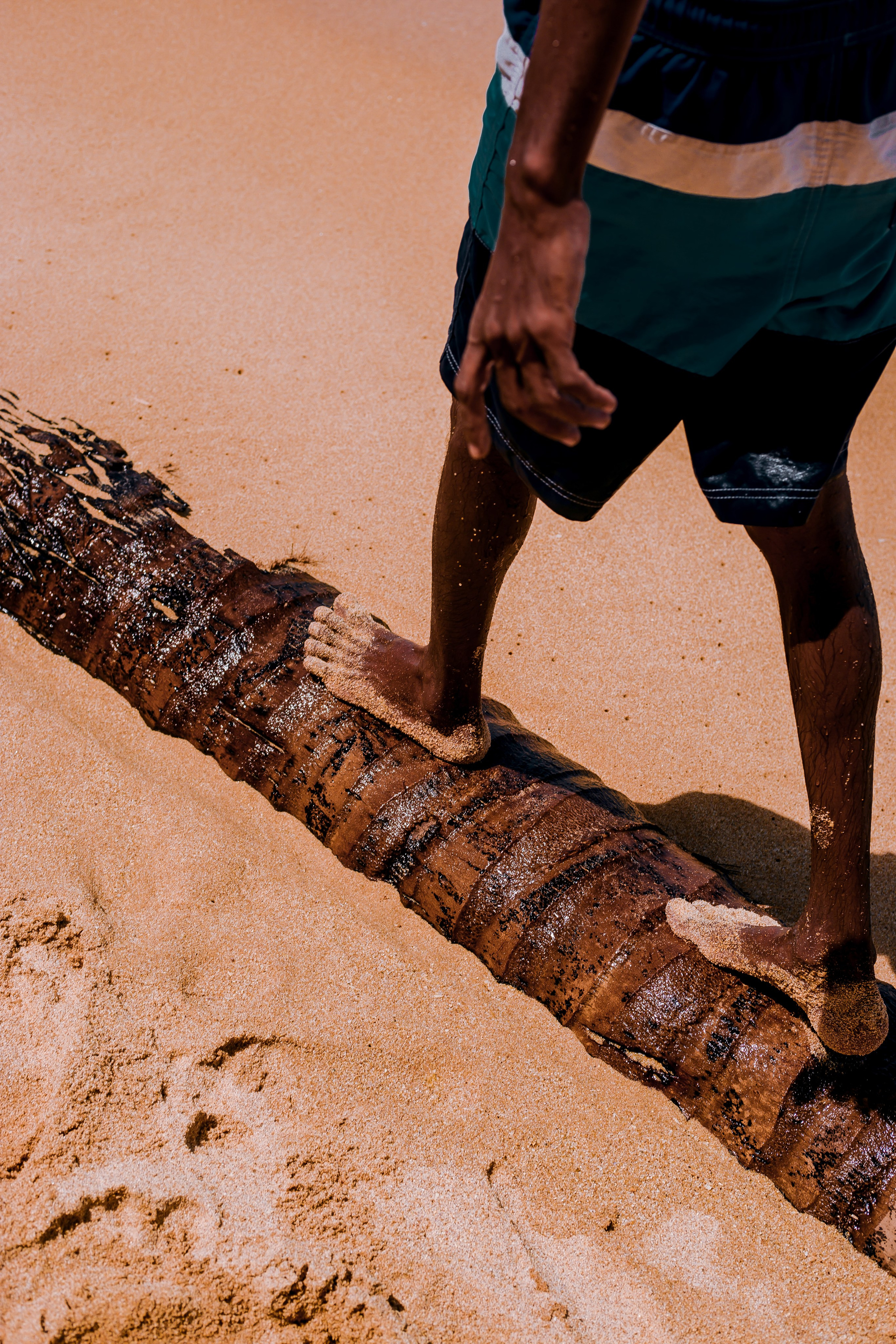 Sri Lanka. Art Photographer