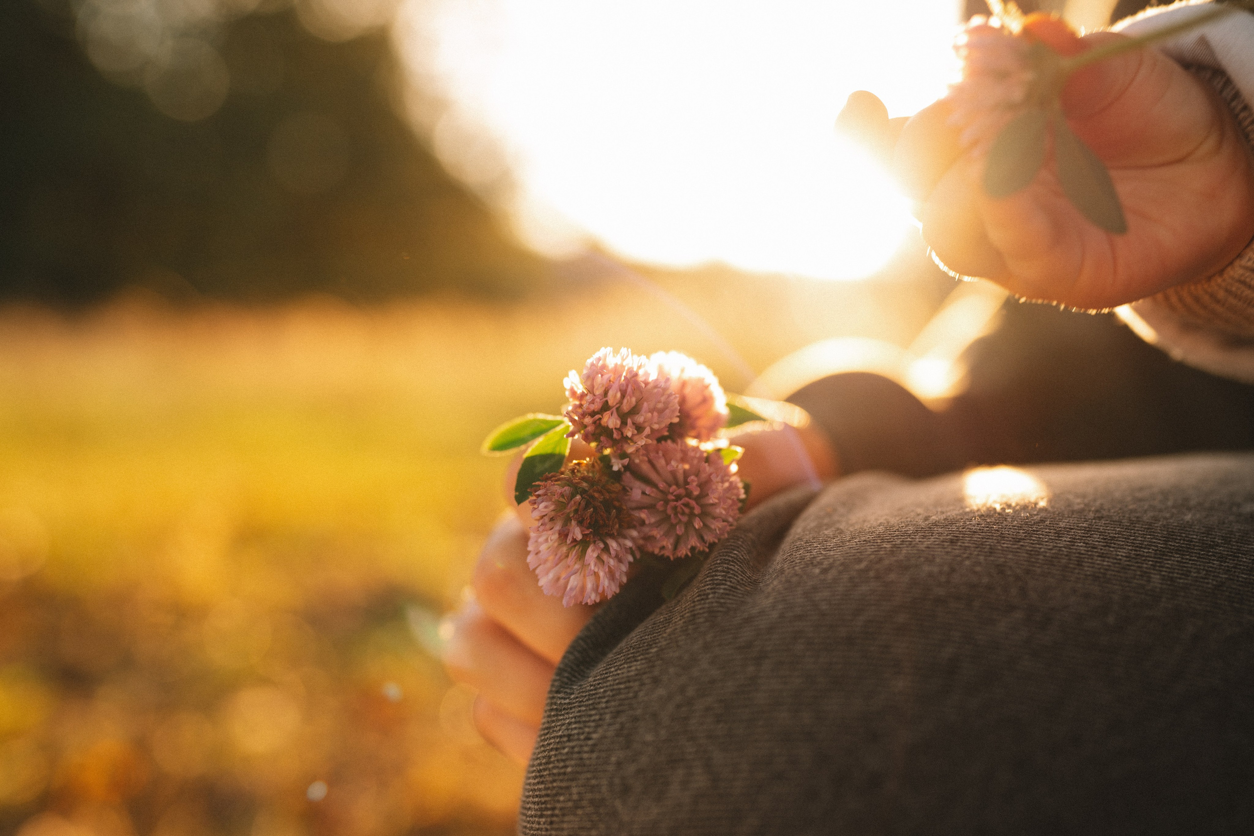 Лера и Костя. Семейный фотограф Валерия Фабричникова, Москва