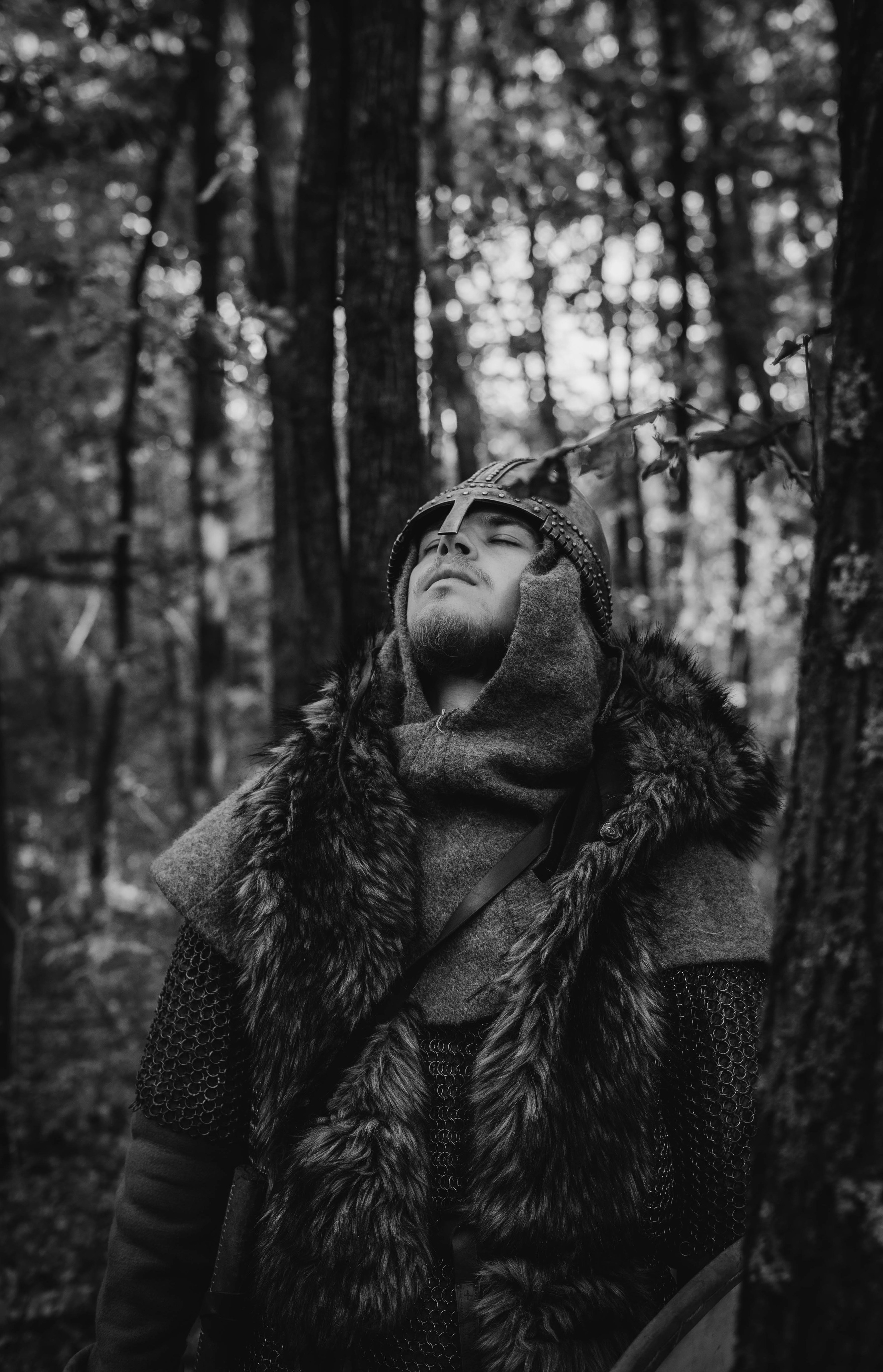 Викинг. Ab extra