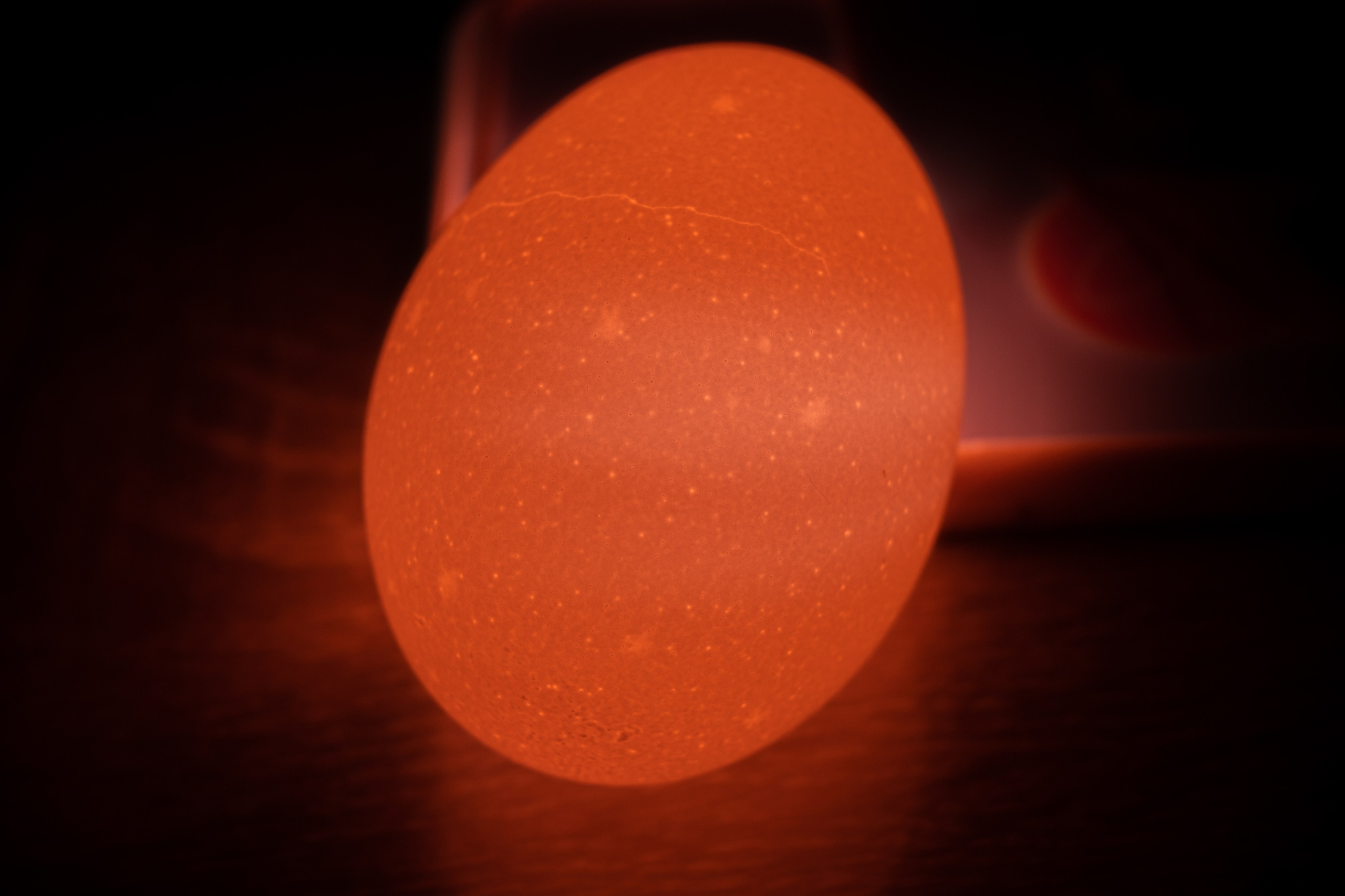 Баловство со светом. Фотограф и видеограф в Москве Анна Матюхина