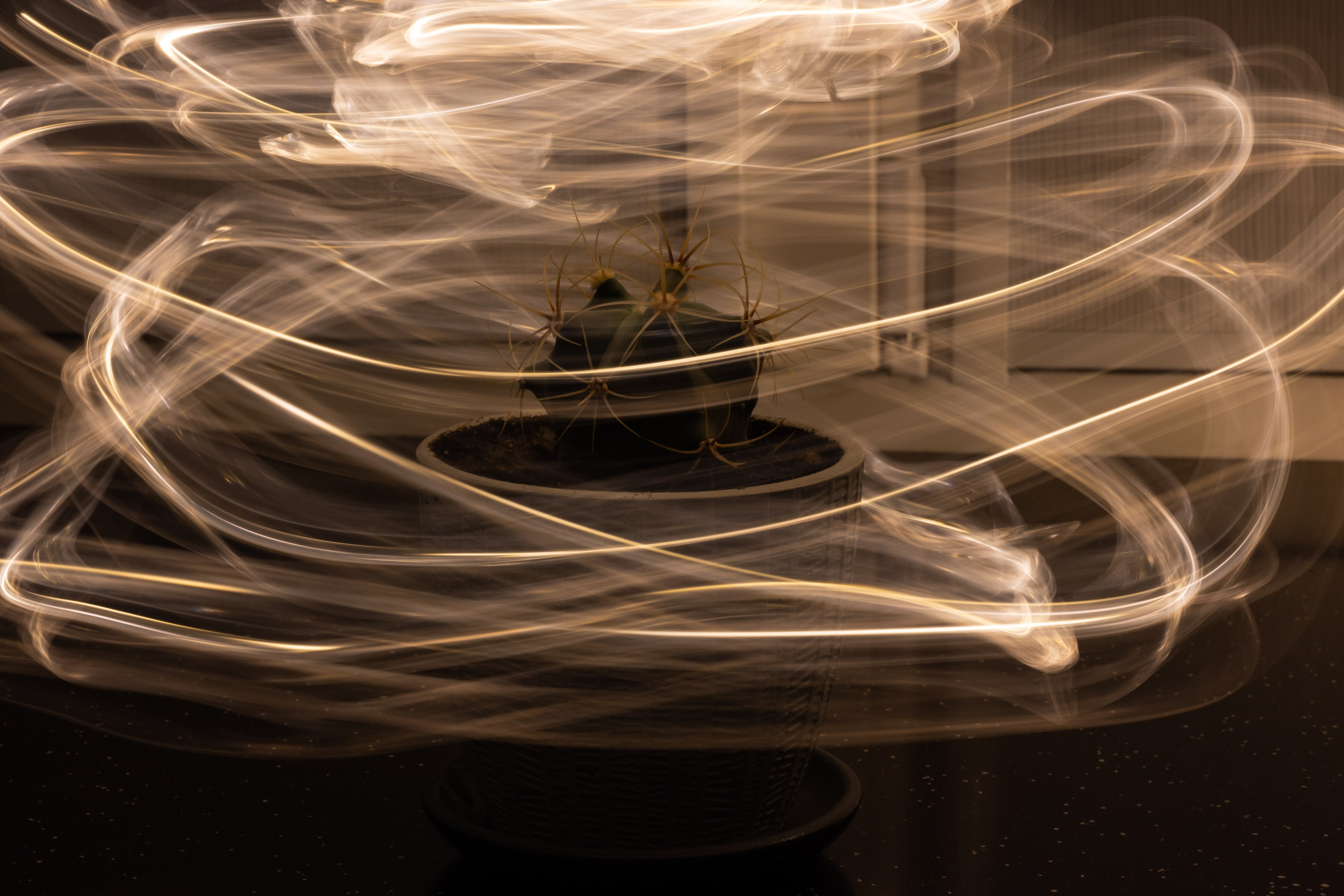 Баловство со светом. Фотограф и видеограф в Москве Анна Матюхина