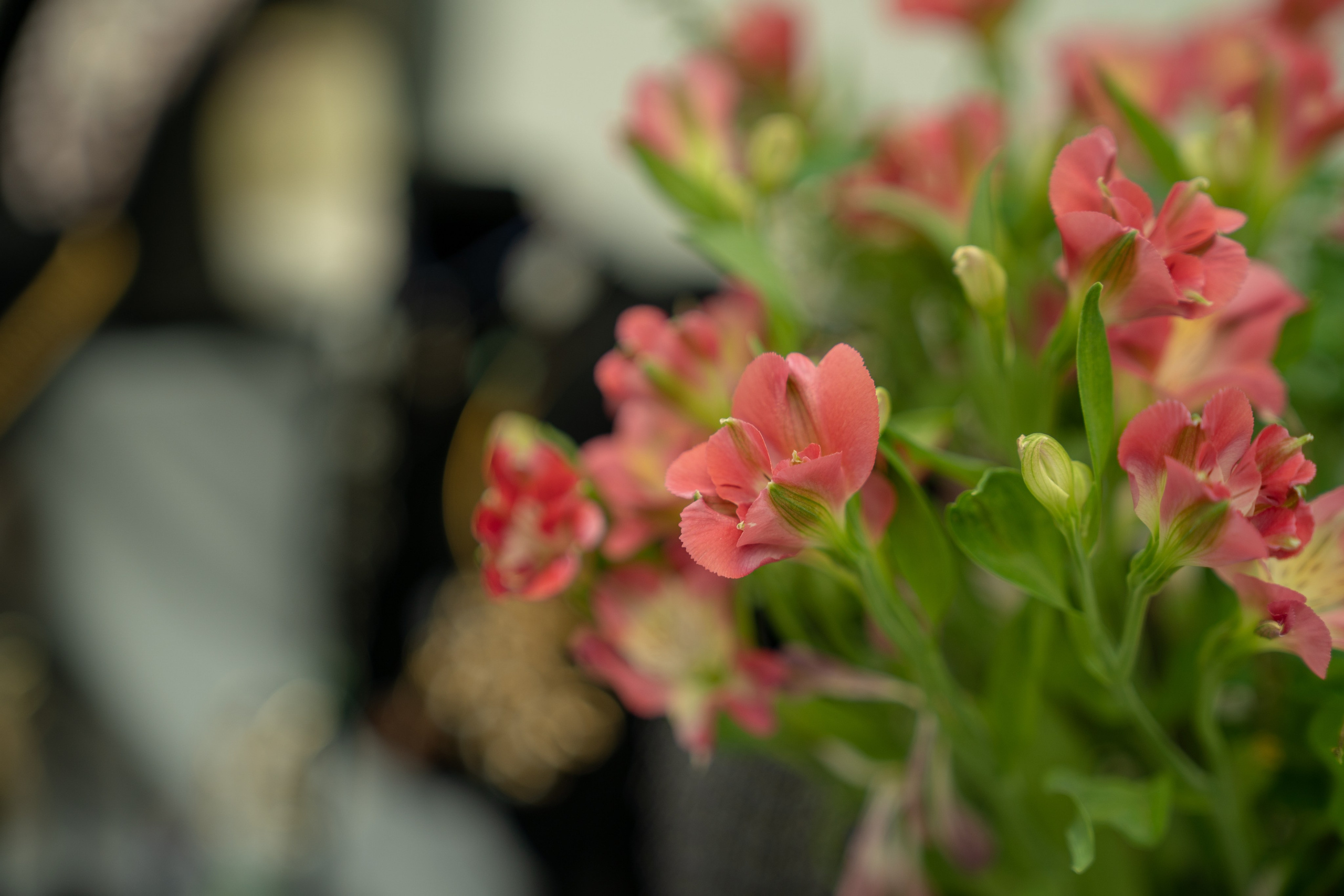 Предметная съемка. Репортажный, студийный и уличный фотограф