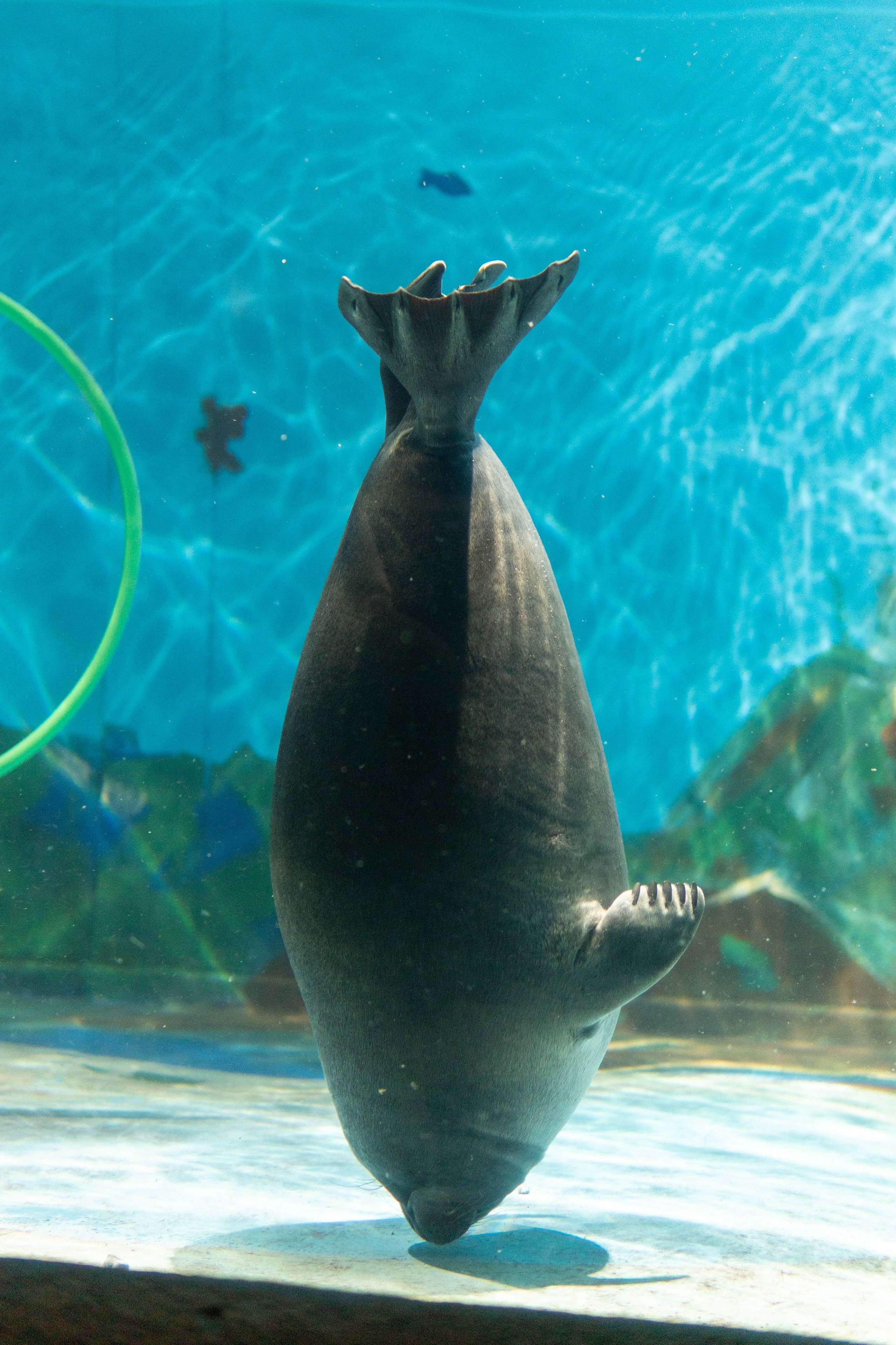 Экскурсия краснодарской делегации. Медиа-портфолио Марии Абрашиной