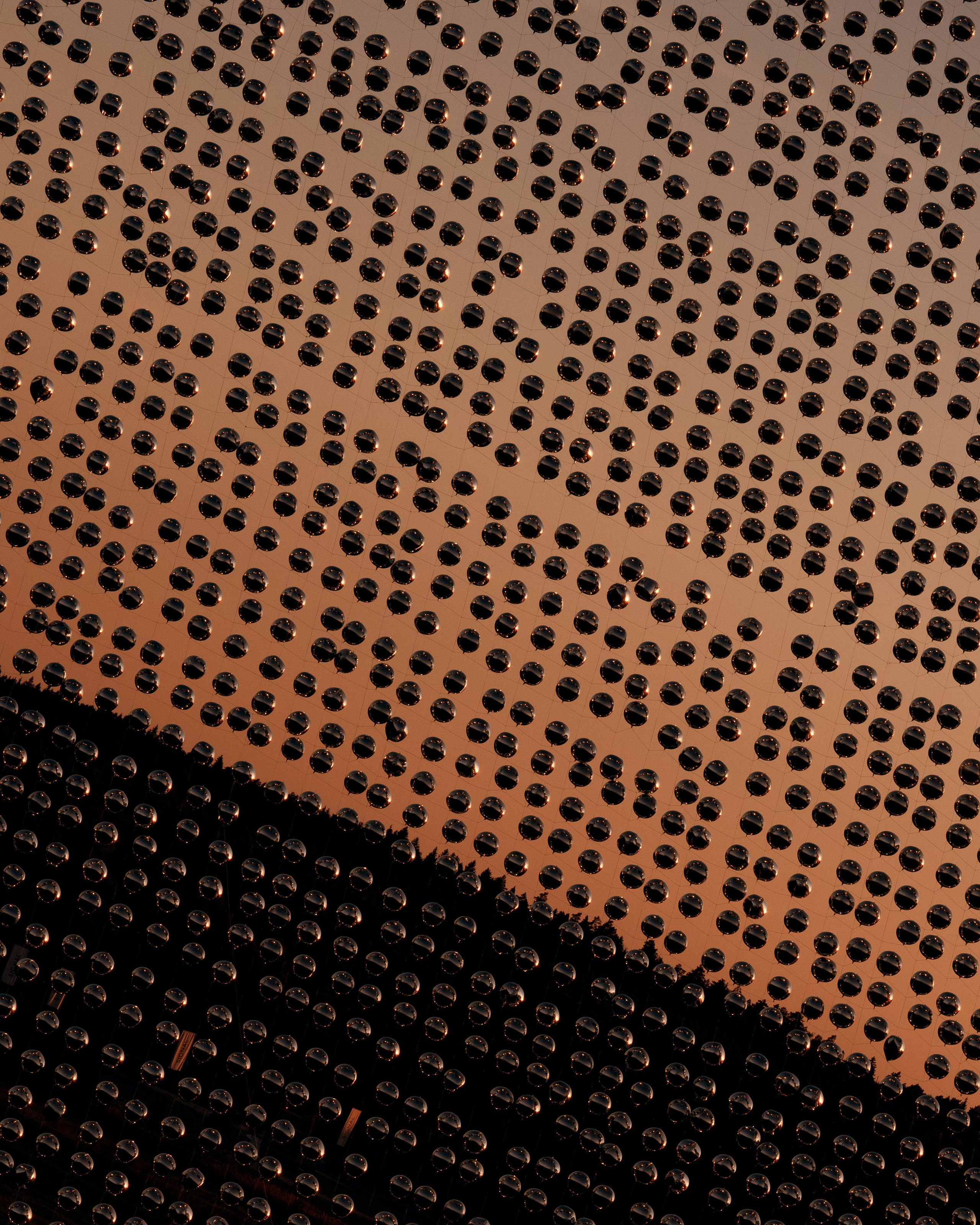 Signal 2024. @tomrus: Рустам Шагиморданов — фотограф