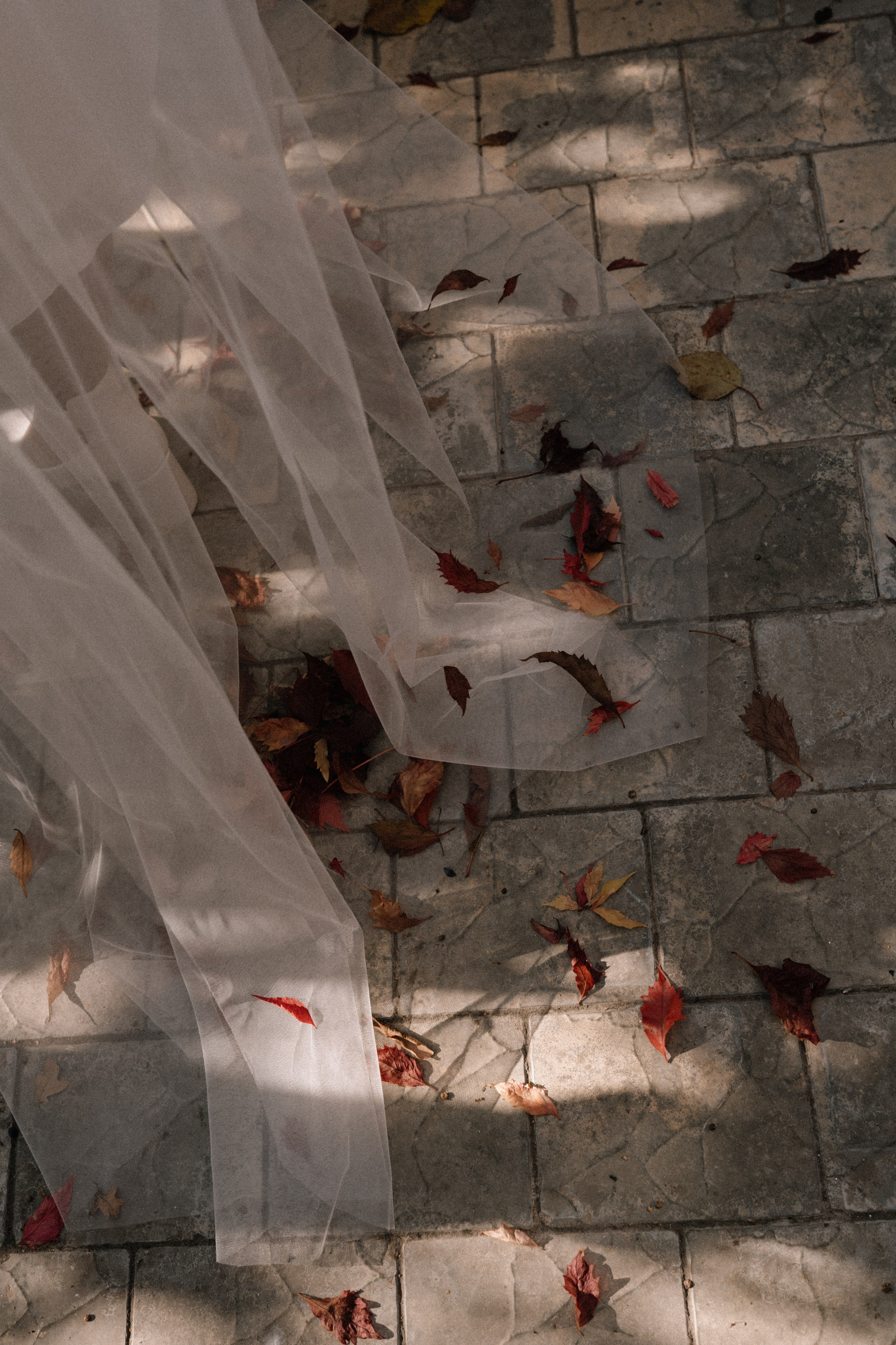 Юрий и Алёна. Свадебный фотограф в Новосибирска