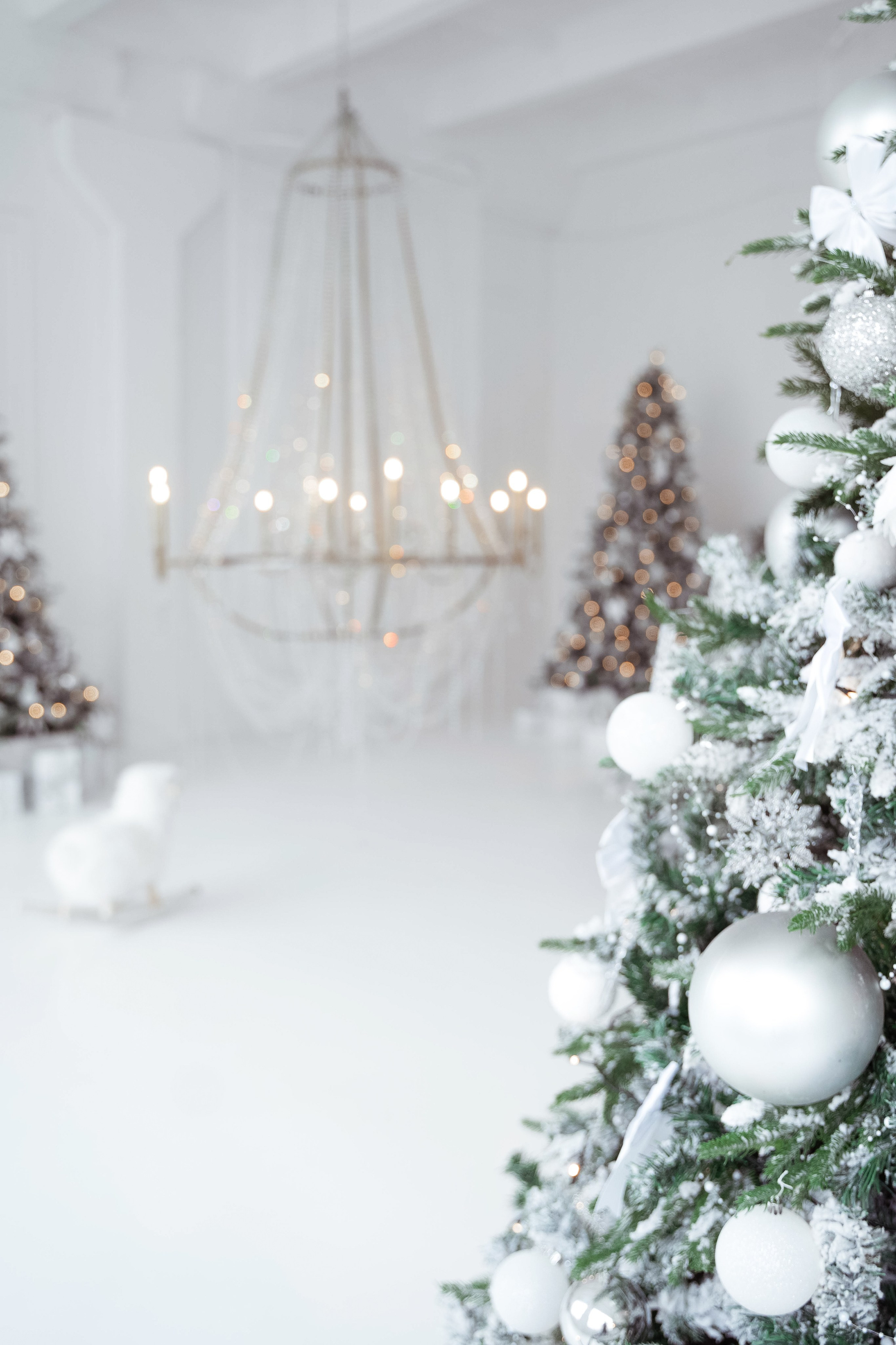 Зал Ренессанс. Фотограф г. Хабаровск. Семейные и индивидуальные съёмки