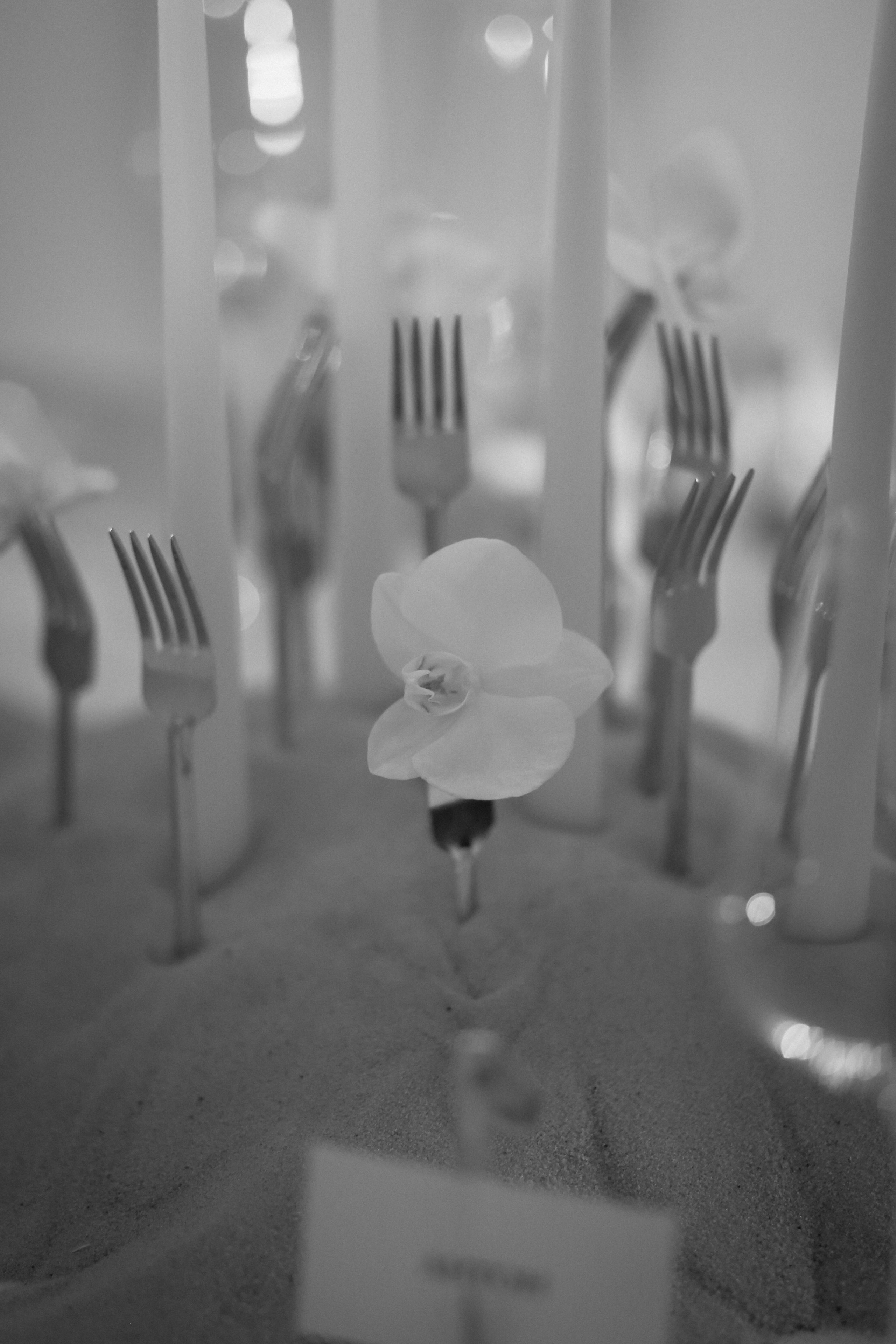 Свадебная съемка, оргазм для глаз). Иванова Ирина Свадебный и семейный фотограф г. Уфа