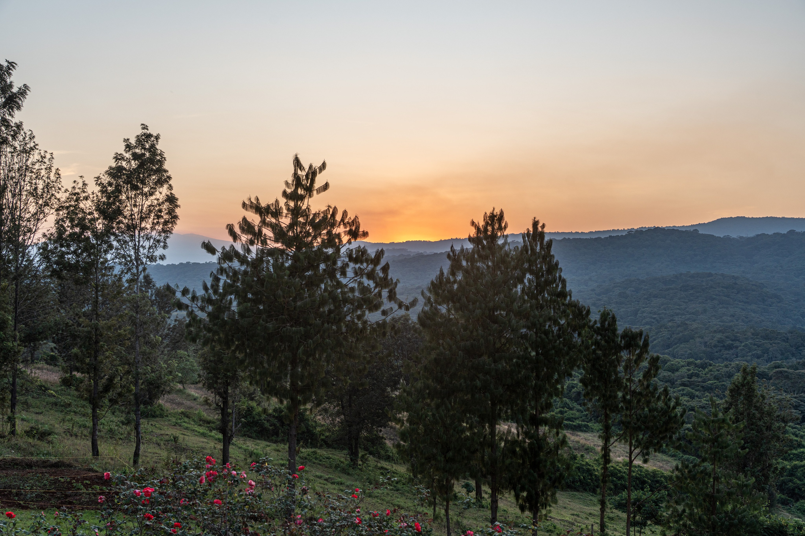 Танзания, сафари, 2025. Творческие сьемки
