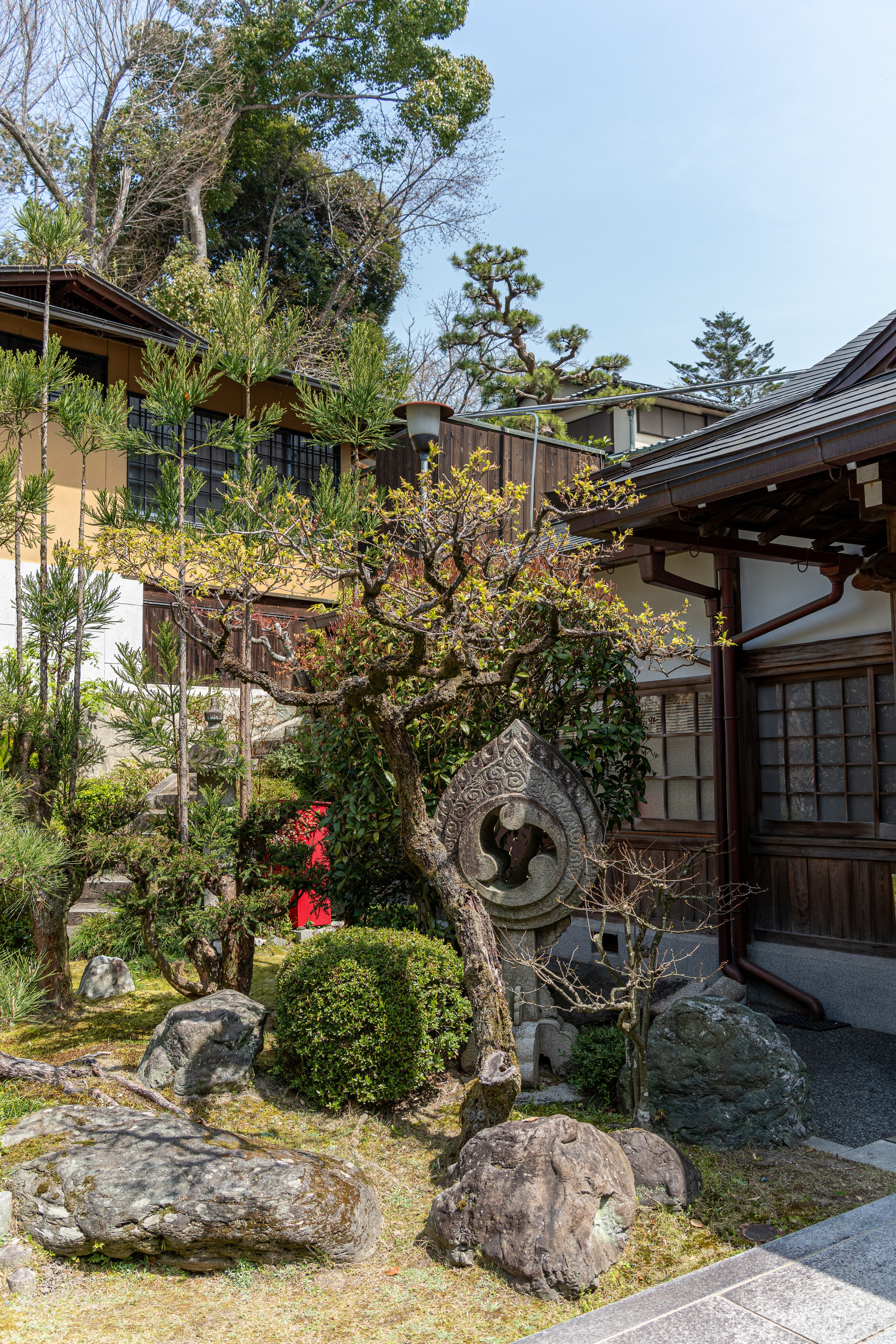 Япония, сакура. Творческие сьемки