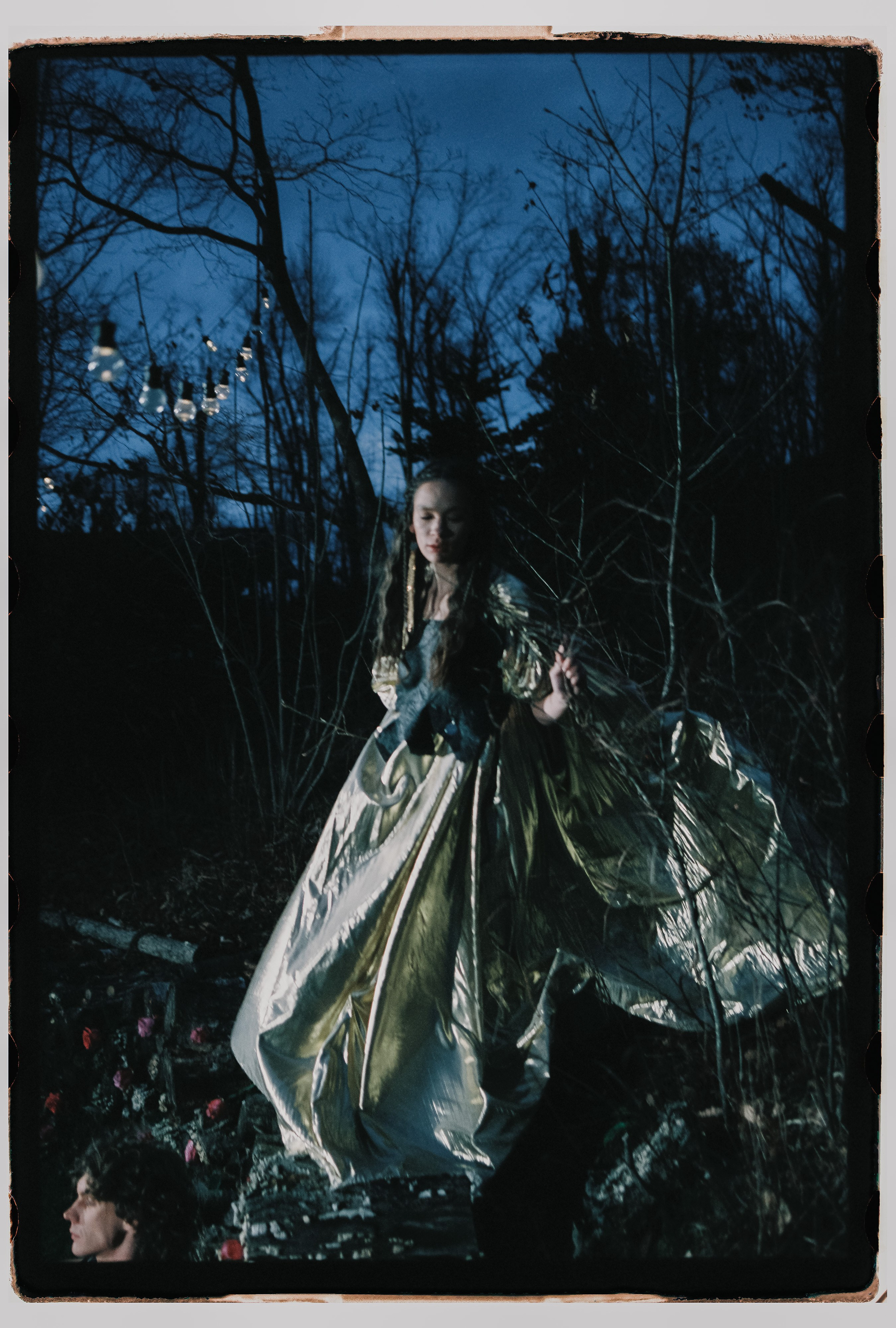 Лесной променад