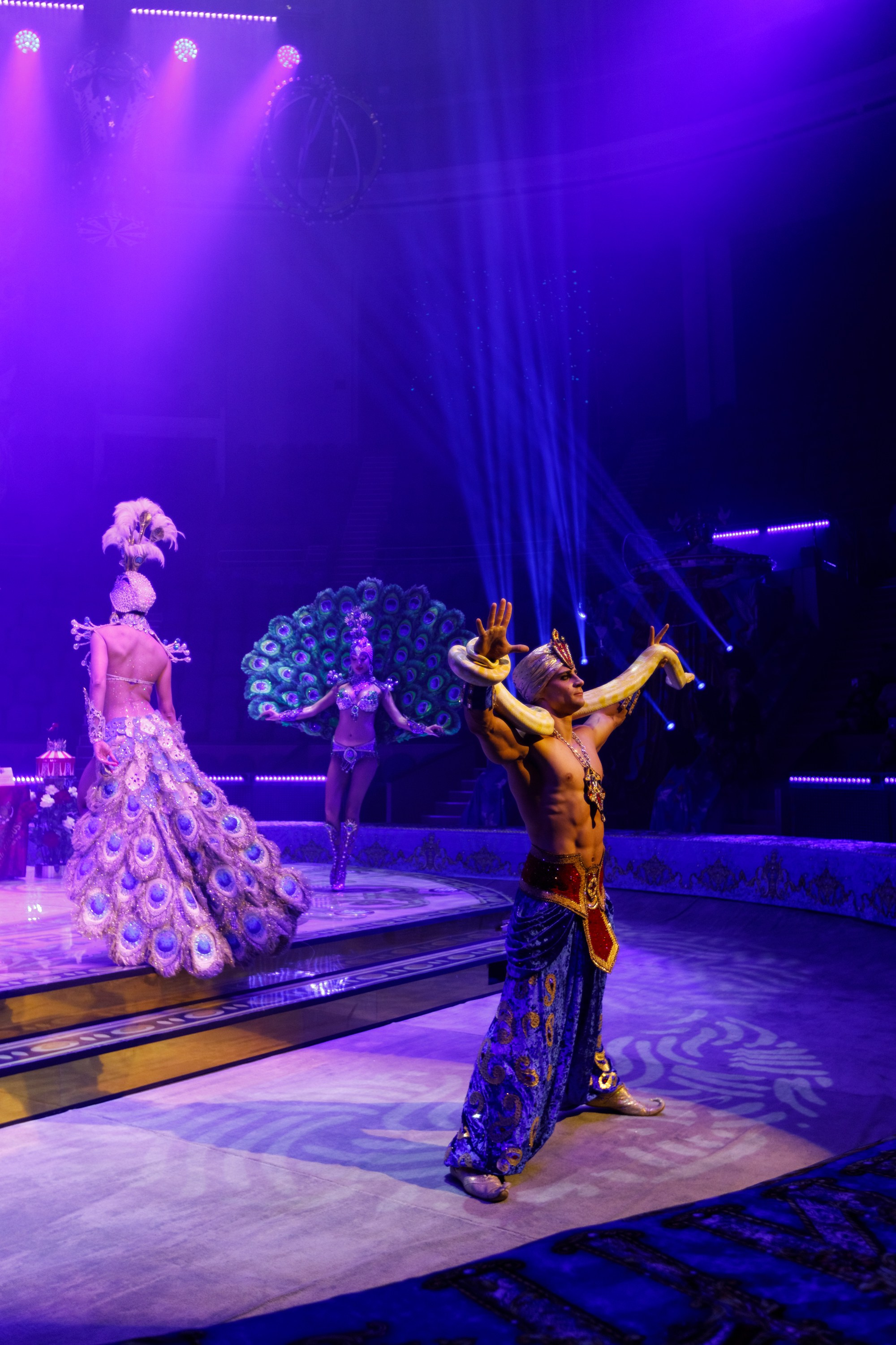 Сочинский росгорцирк Шоу Гии Эрадзе цирк. Профессиональный фотограф в Сочи Виктория Джой. Обучение