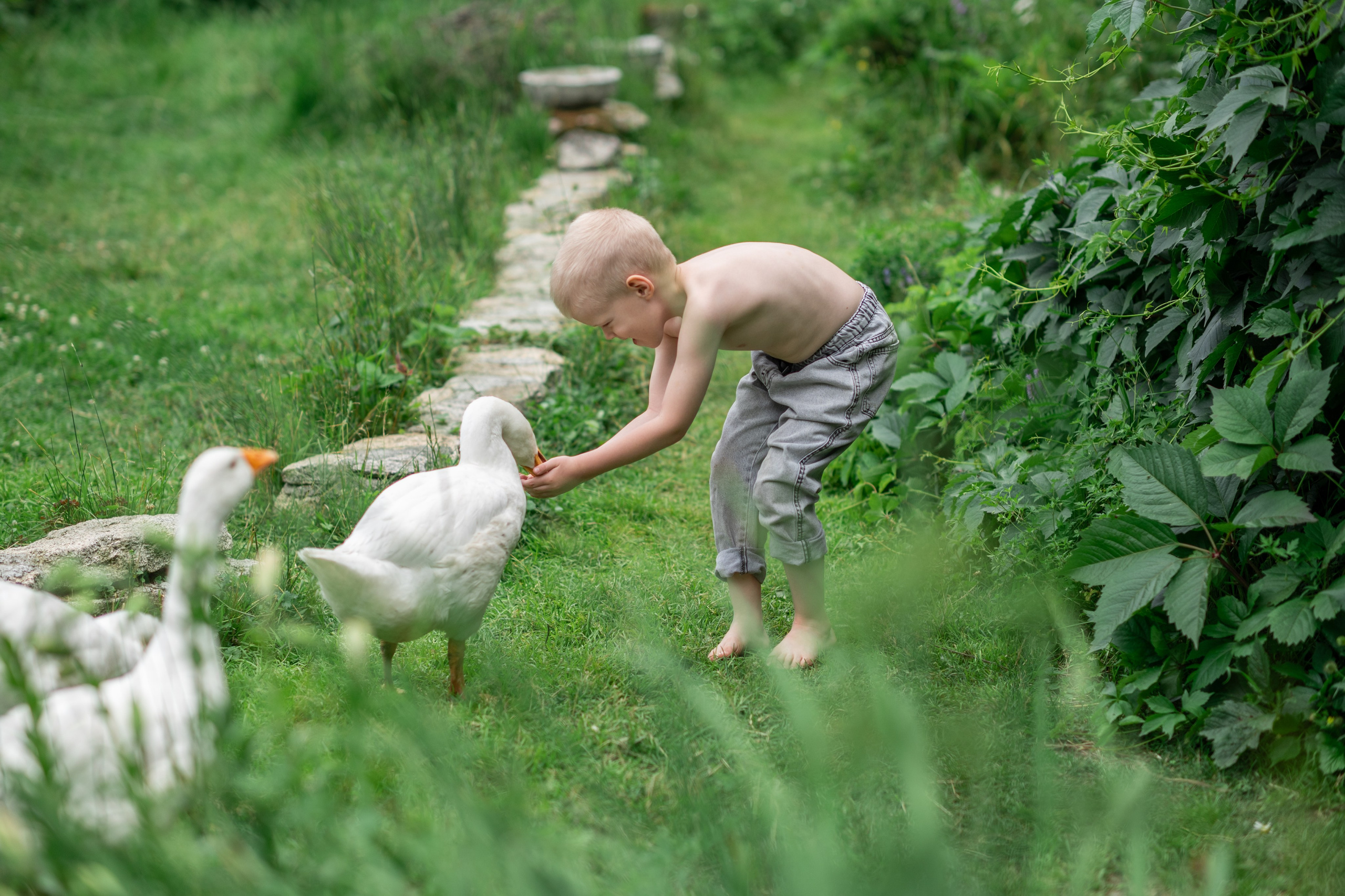 В САДУ. Семейный фотограф Екатеринбург Лора Мур