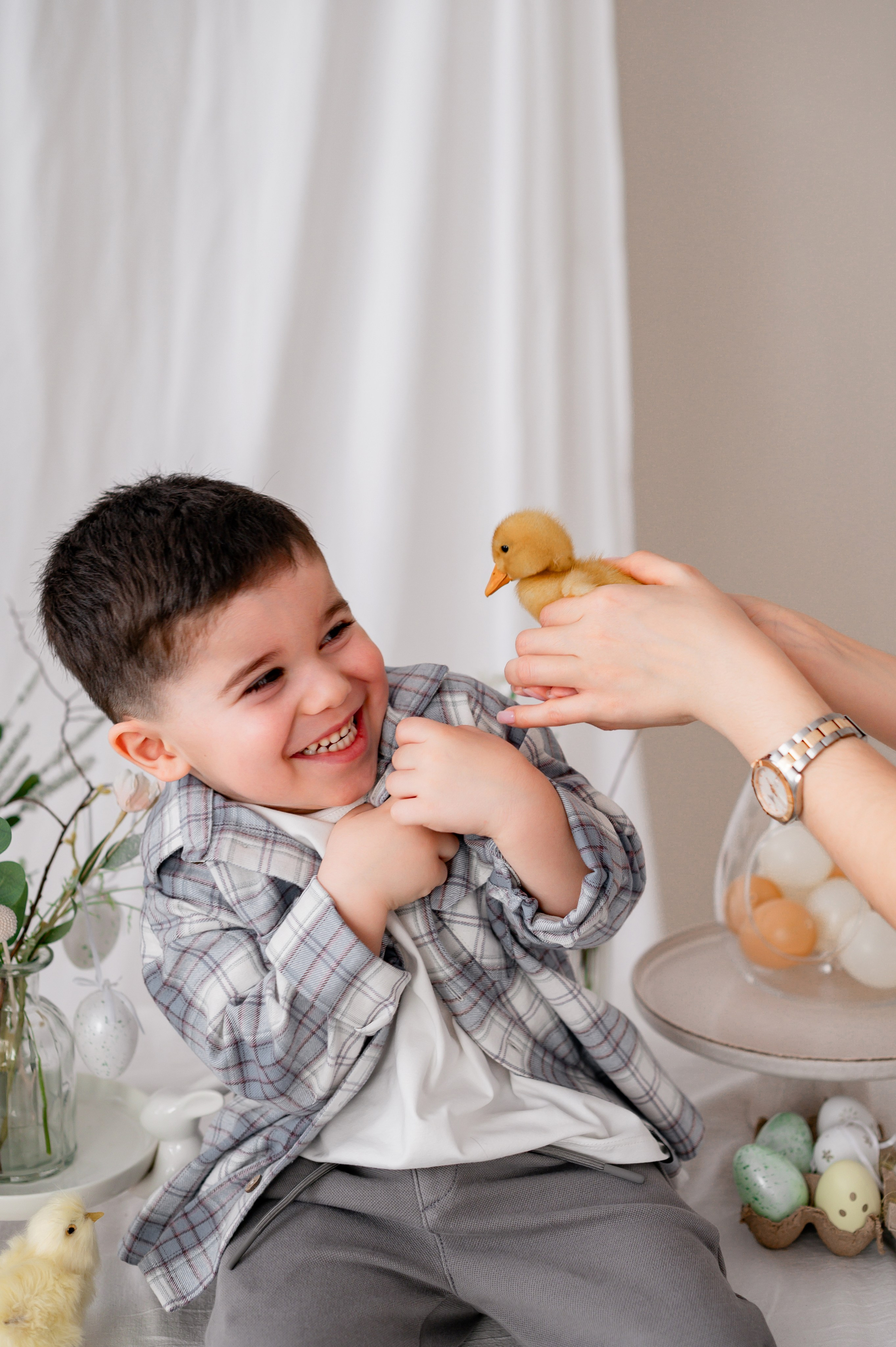 Лев Арина Вика Алена. Фотограф Татьяна Иванчикова