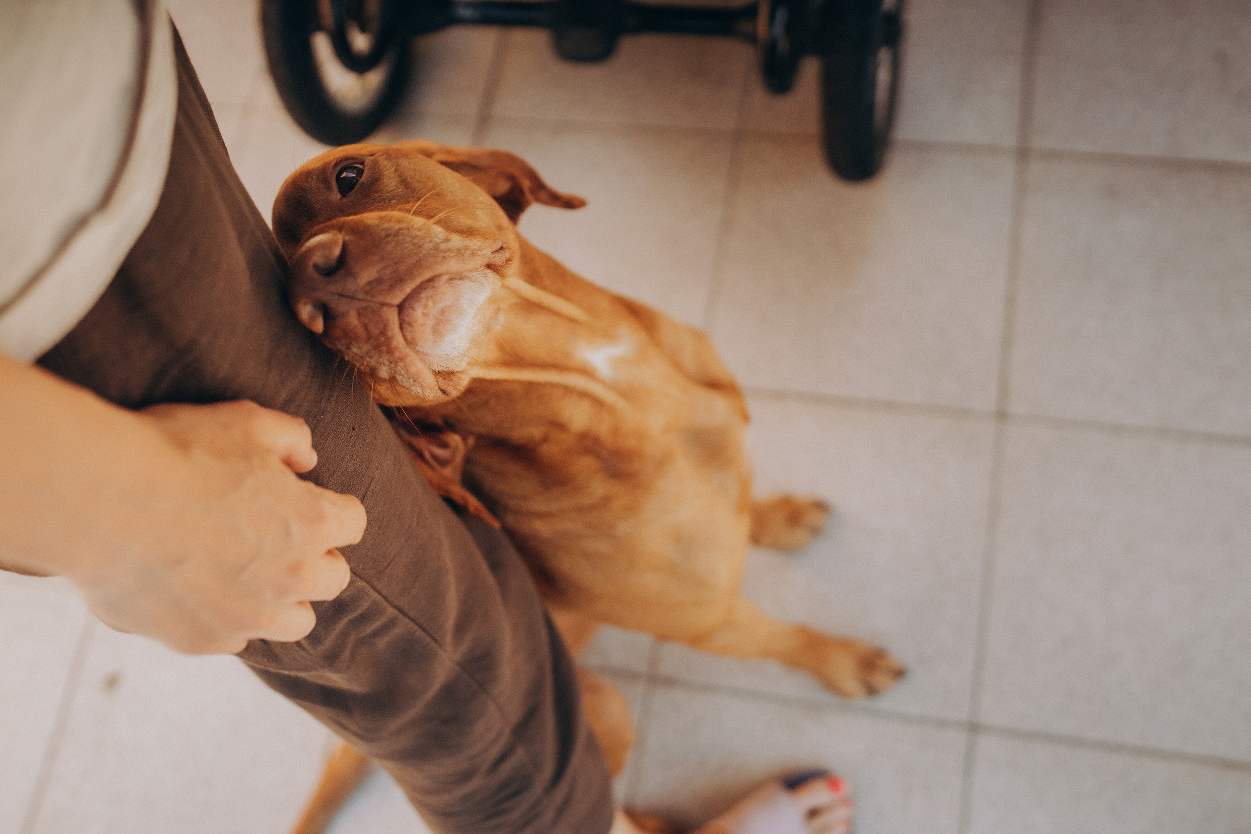 Съёмки дома. Детский и семейный фотограф — Калининград — Юля Насифуллина