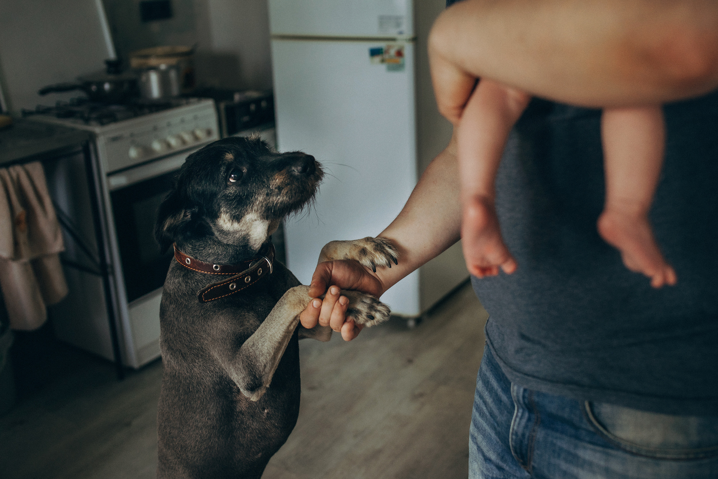 Съёмки дома. Детский и семейный фотограф — Калининград — Юля Насифуллина