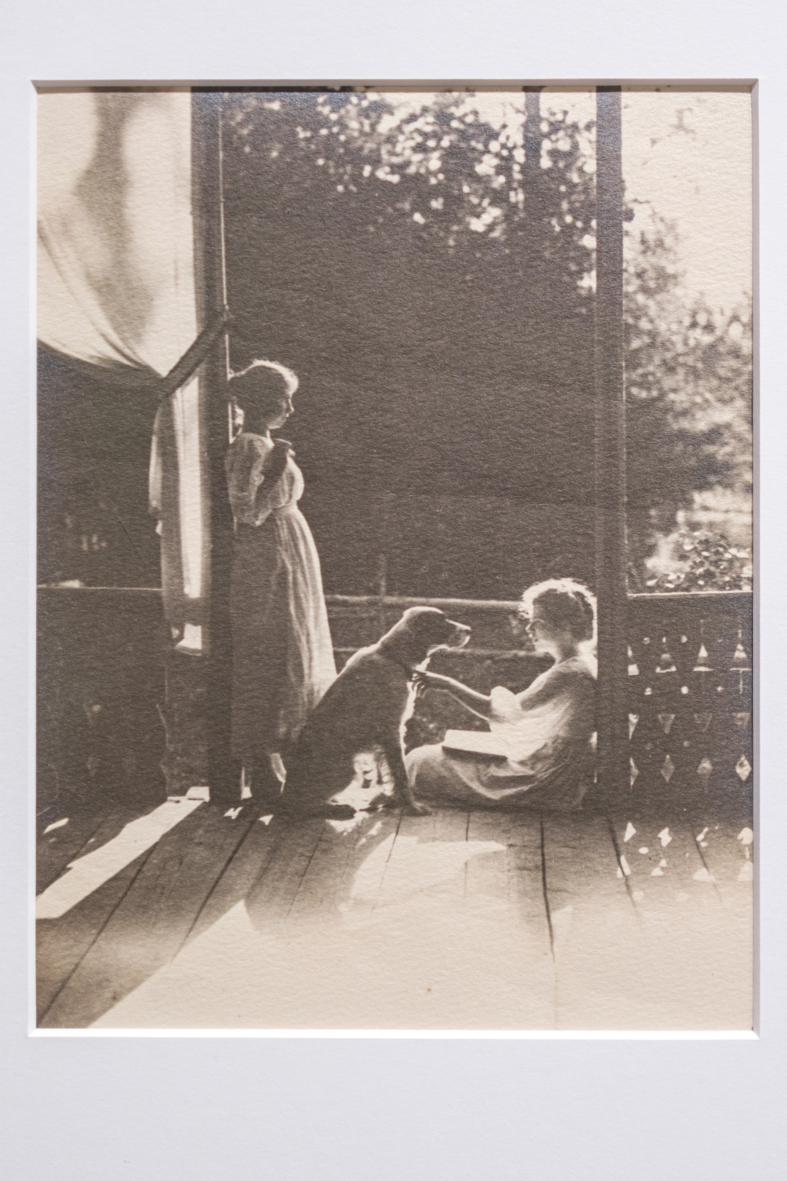 Выставочный проект «Фотоискусство. От дагеротипа до искусственного интеллекта». Фотограф Балаев Михаил