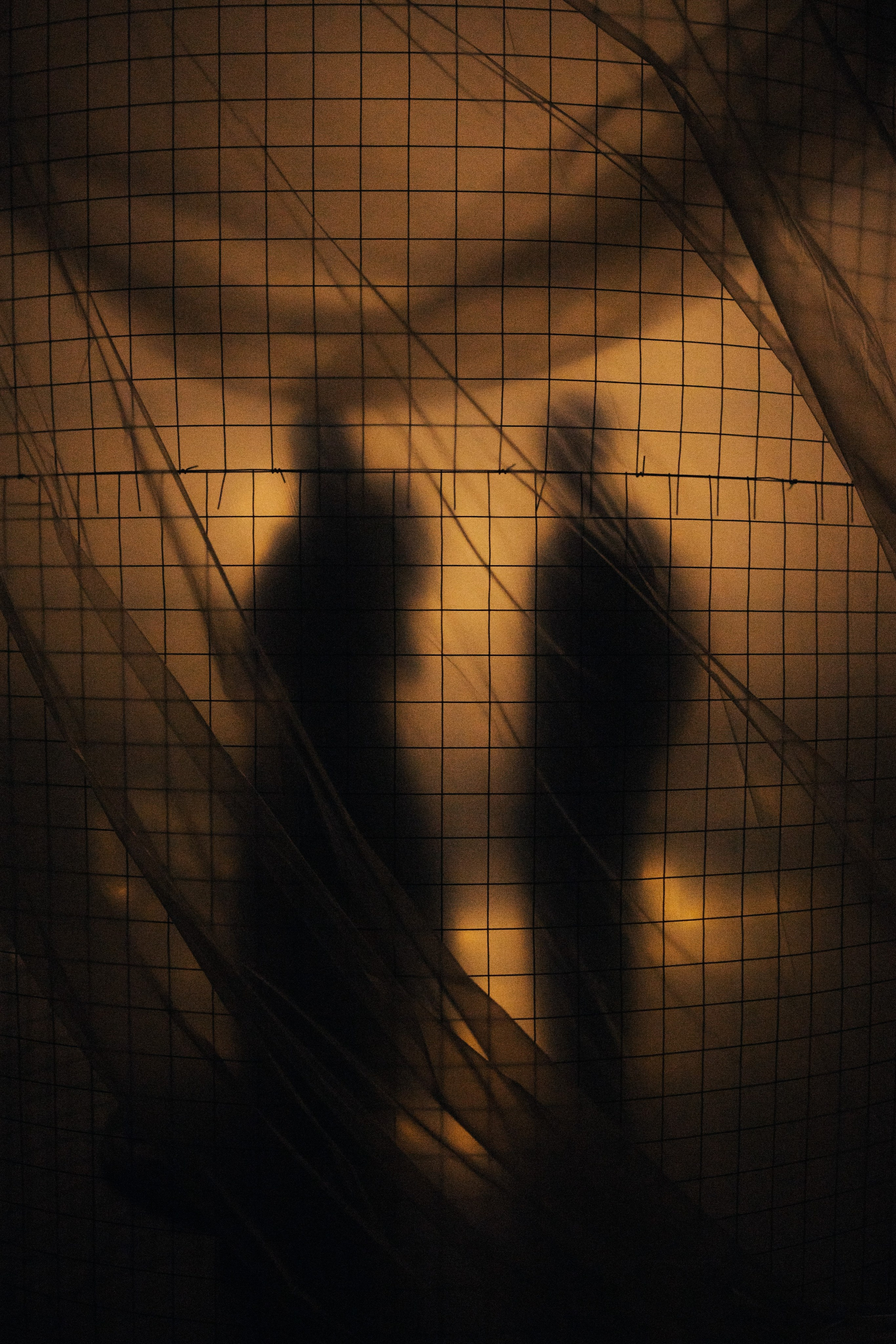 Фотограф Дубровская Виктория