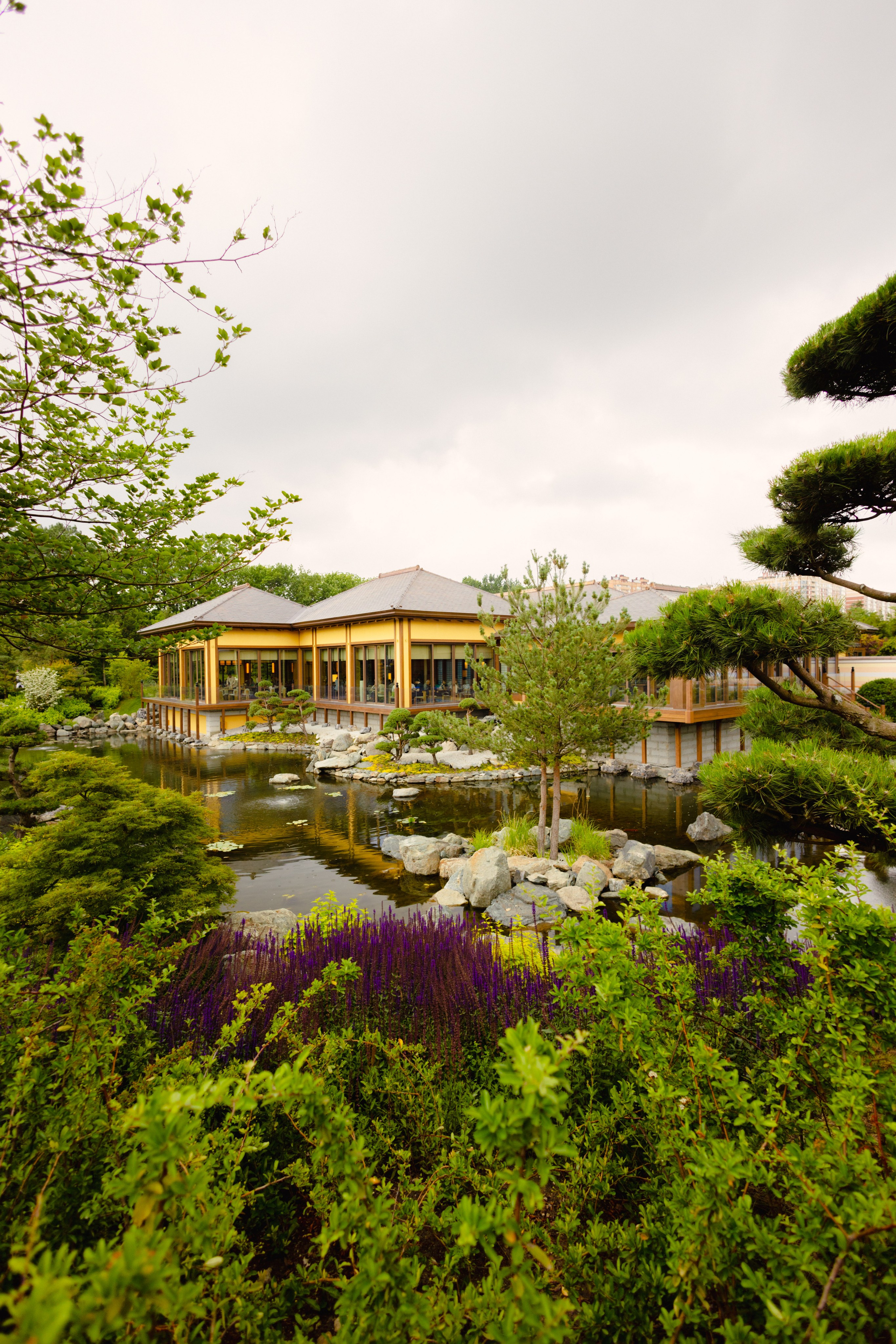 Японский сад в Краснодаре. Профессиональный фотограф и видеооператор