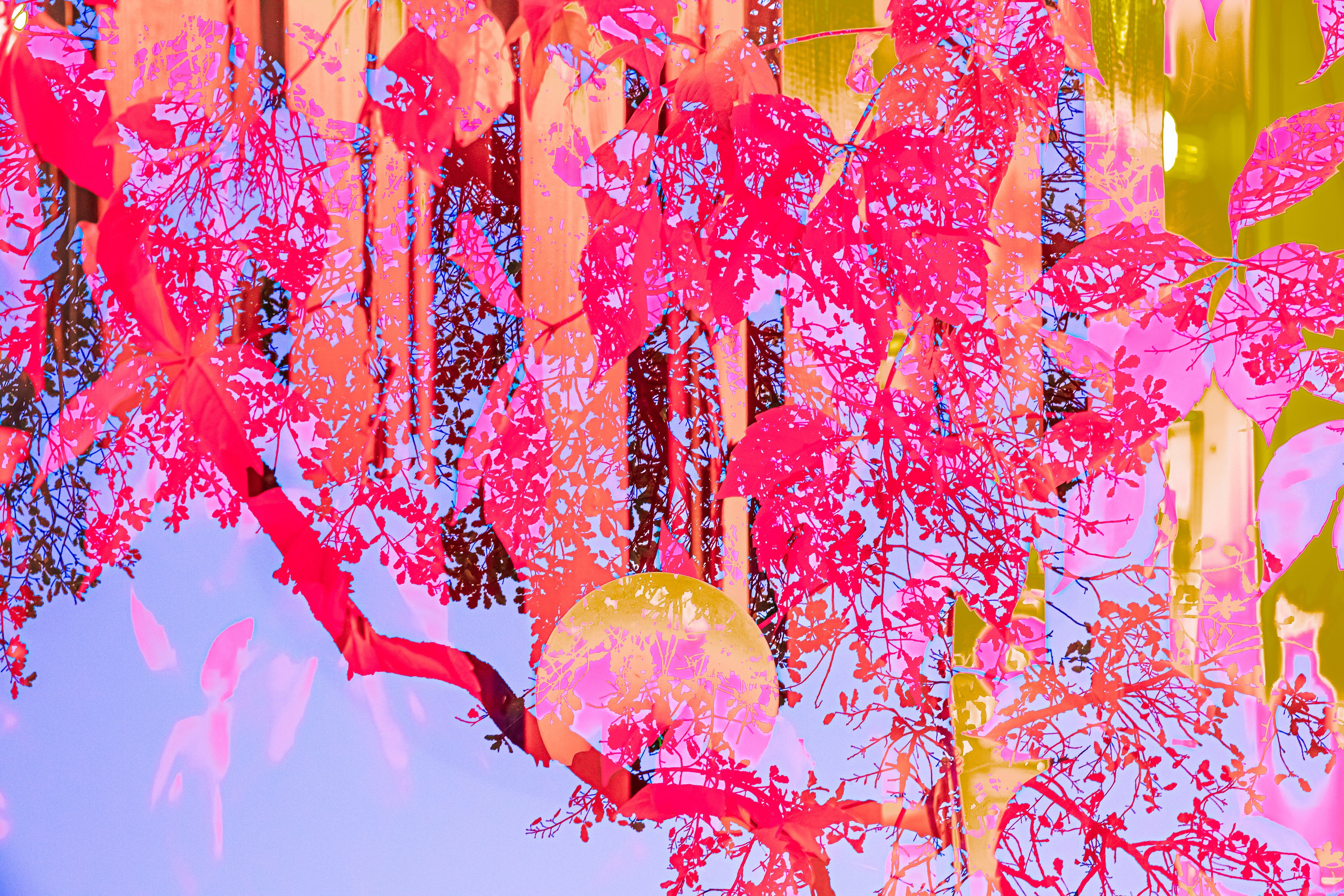 Интерпретации, 2026. АННА ВЕРСО / ANNA VERSO | Визуальный художник / Visual artist