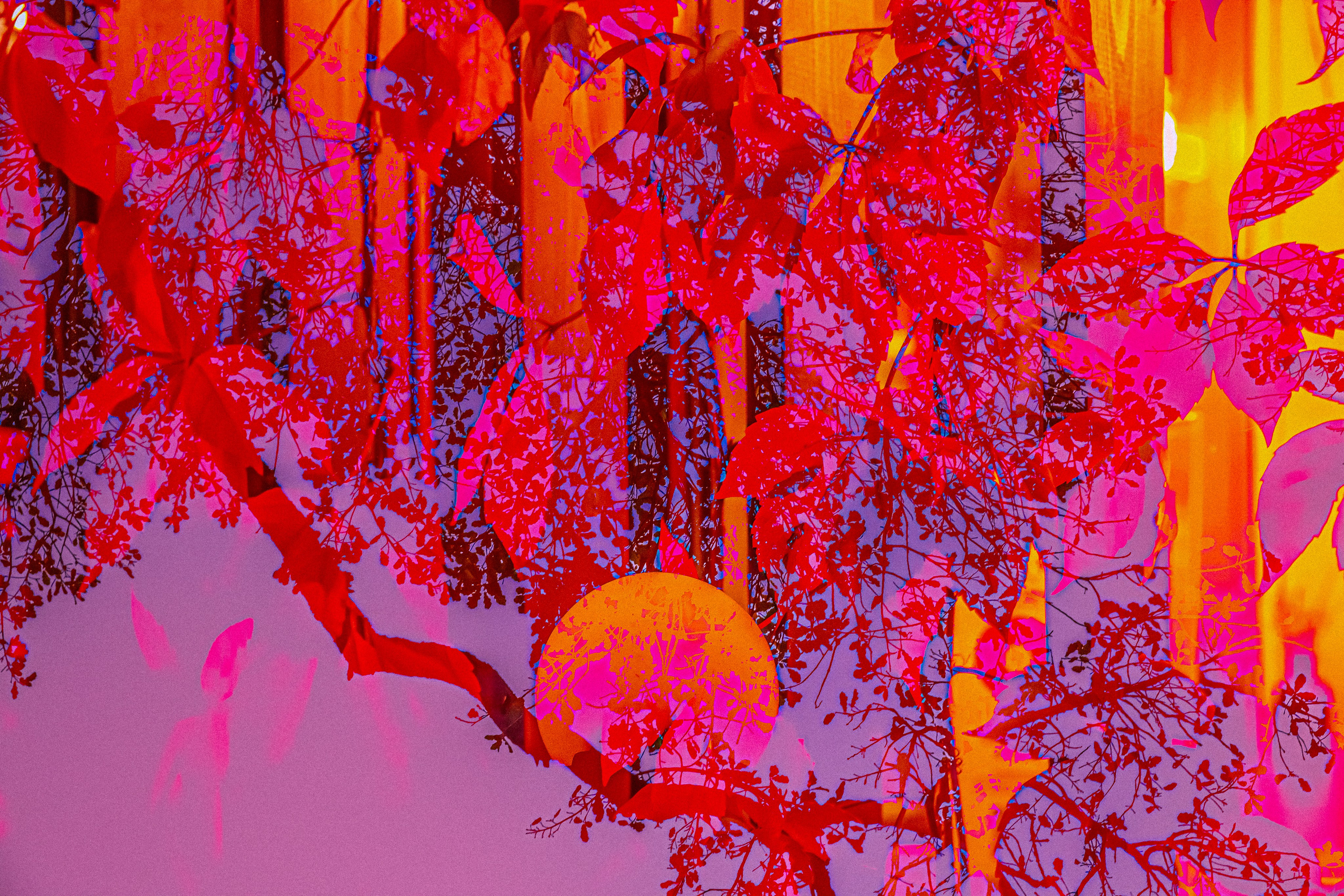 Интерпретации, 2026. АННА ВЕРСО / ANNA VERSO | Визуальный художник / Visual artist