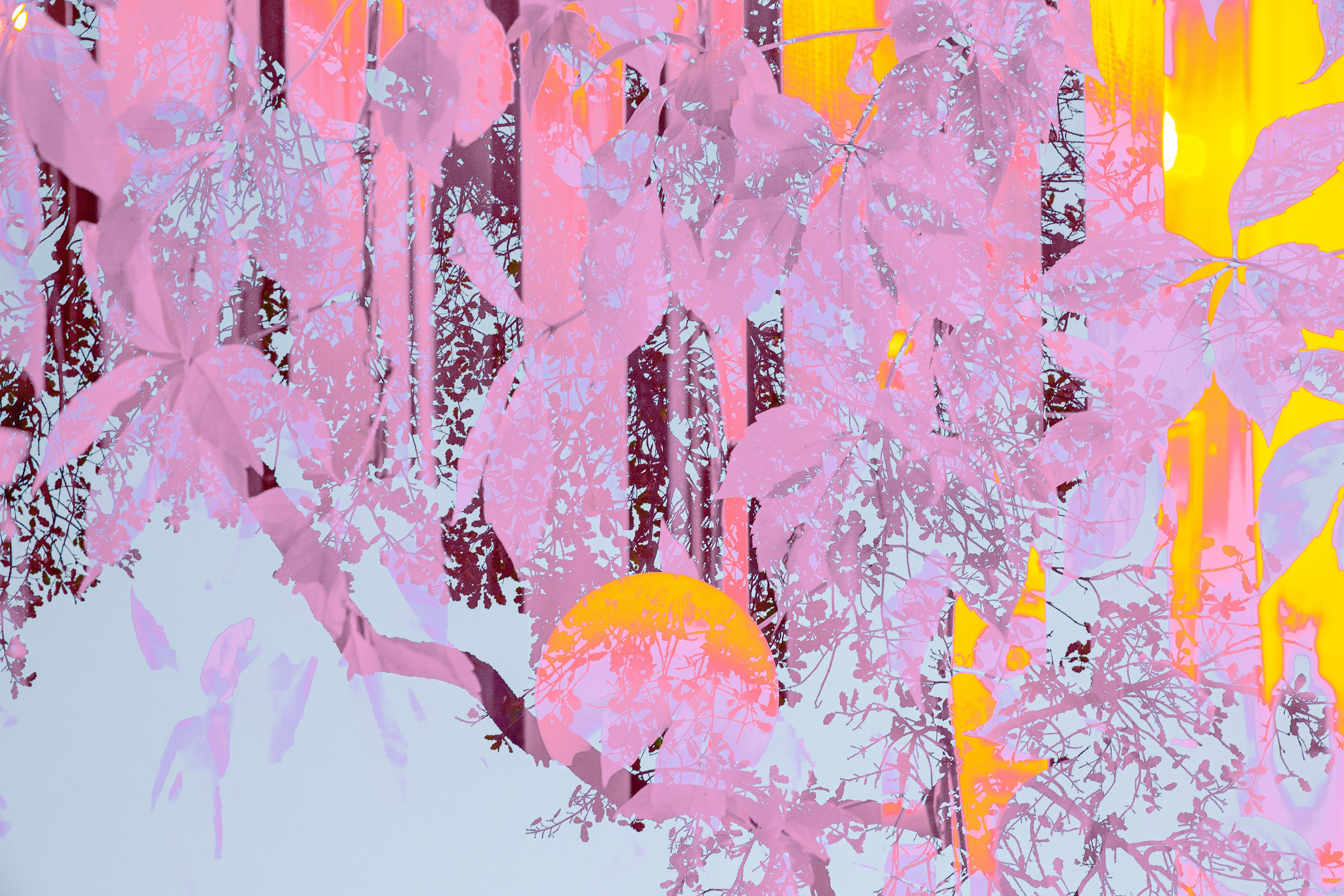 Интерпретации, 2026. АННА ВЕРСО / ANNA VERSO | Визуальный художник / Visual artist