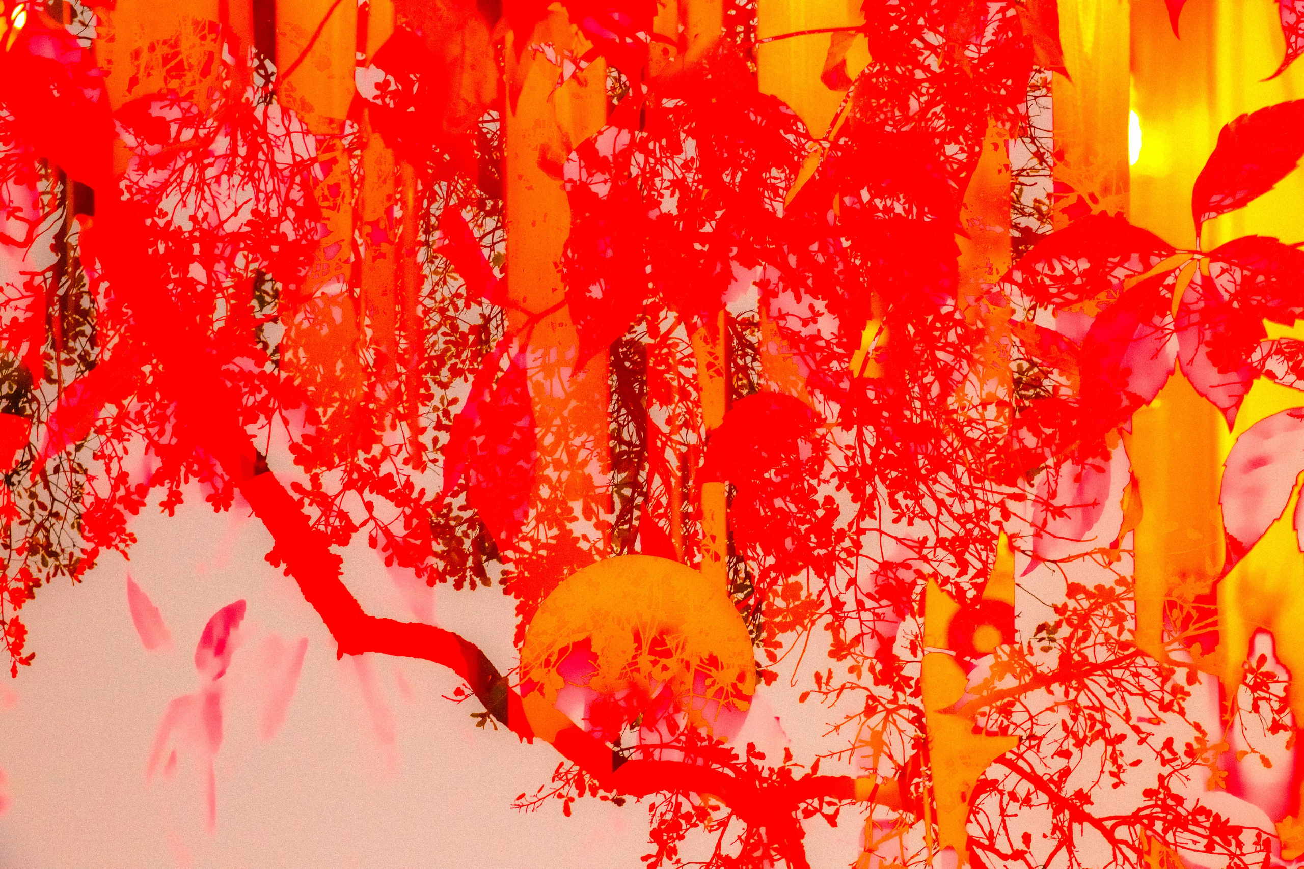 Интерпретации, 2026. АННА ВЕРСО / ANNA VERSO | Визуальный художник / Visual artist