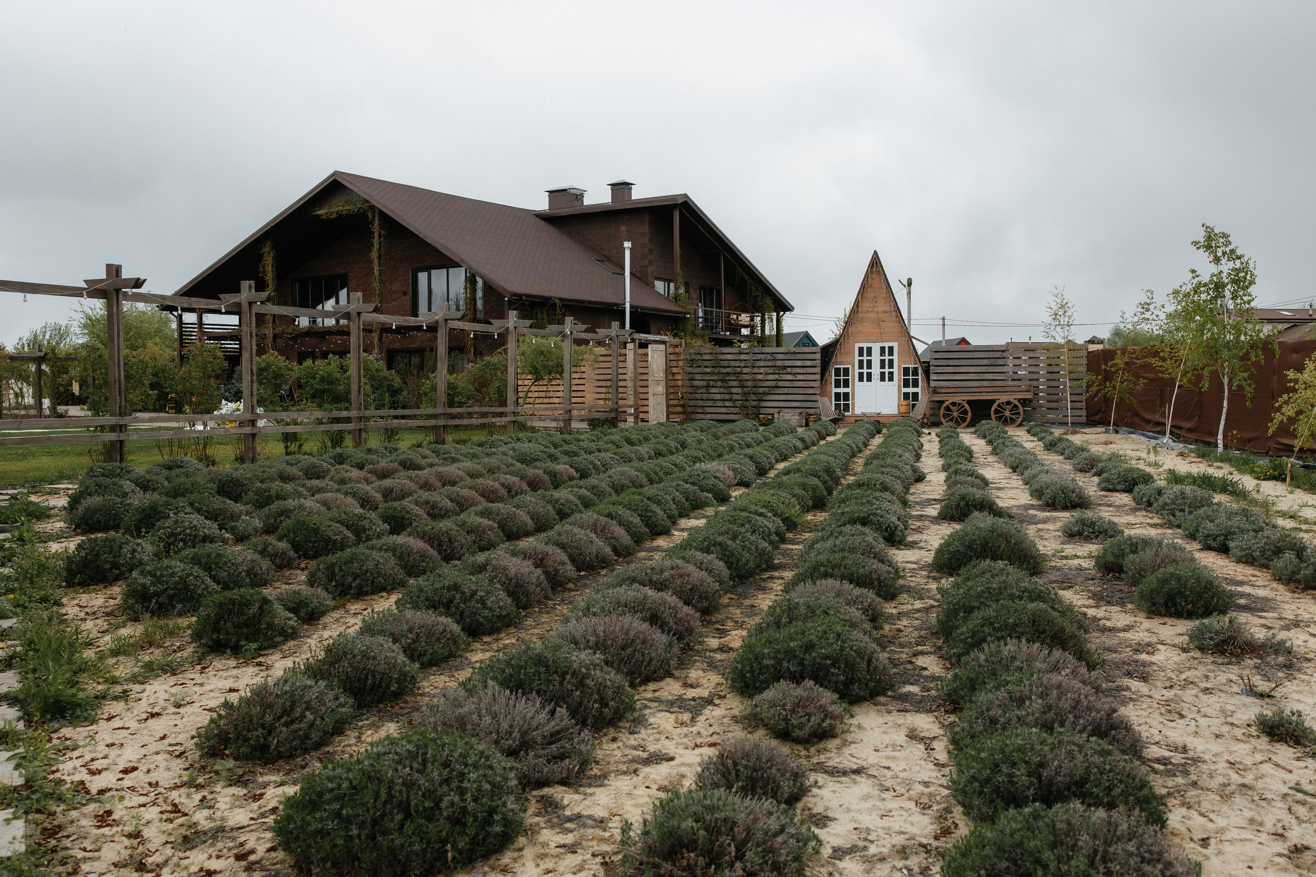 Камила и Сергей. Свадьба. Алена Бадамшина — свадебный фотограф Воронеж / Москва