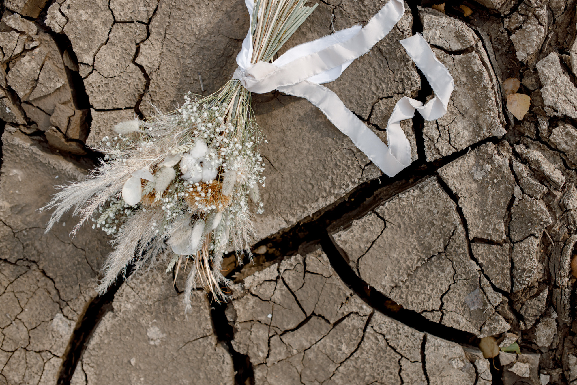 Pavel & Polina. Anton Prokopenkov Wedding and Portrait Photographer