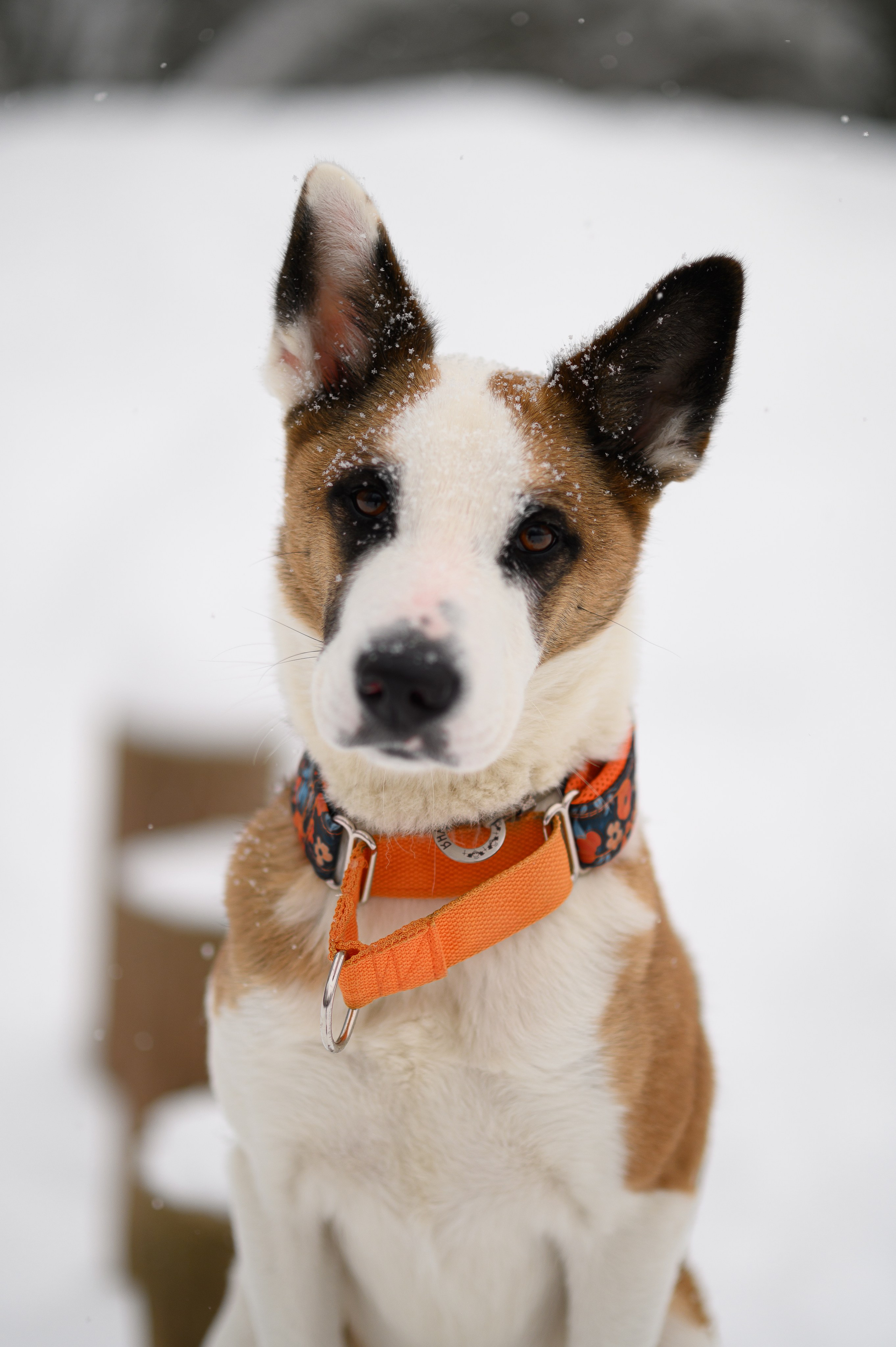 Акцент на живом. Фотограф в Москве Полина Старцева