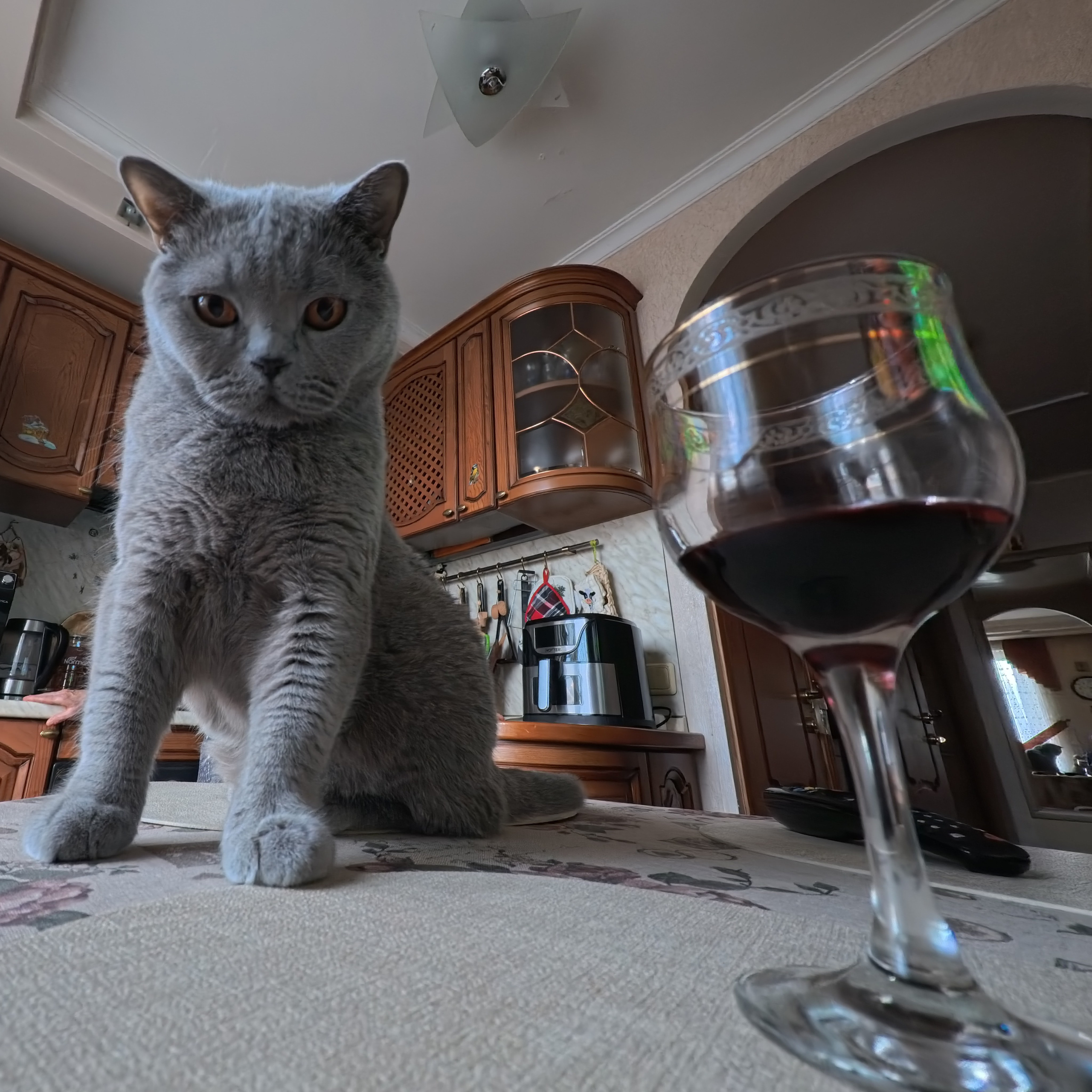 Улица, люди, жизнь…