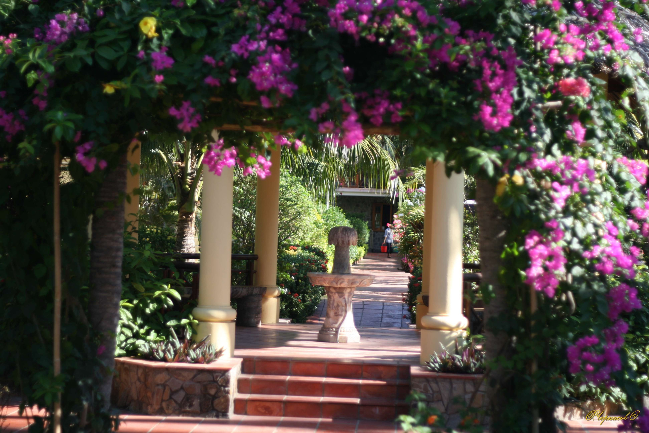 Вьетнам 2008 г. Улица, люди, жизнь…