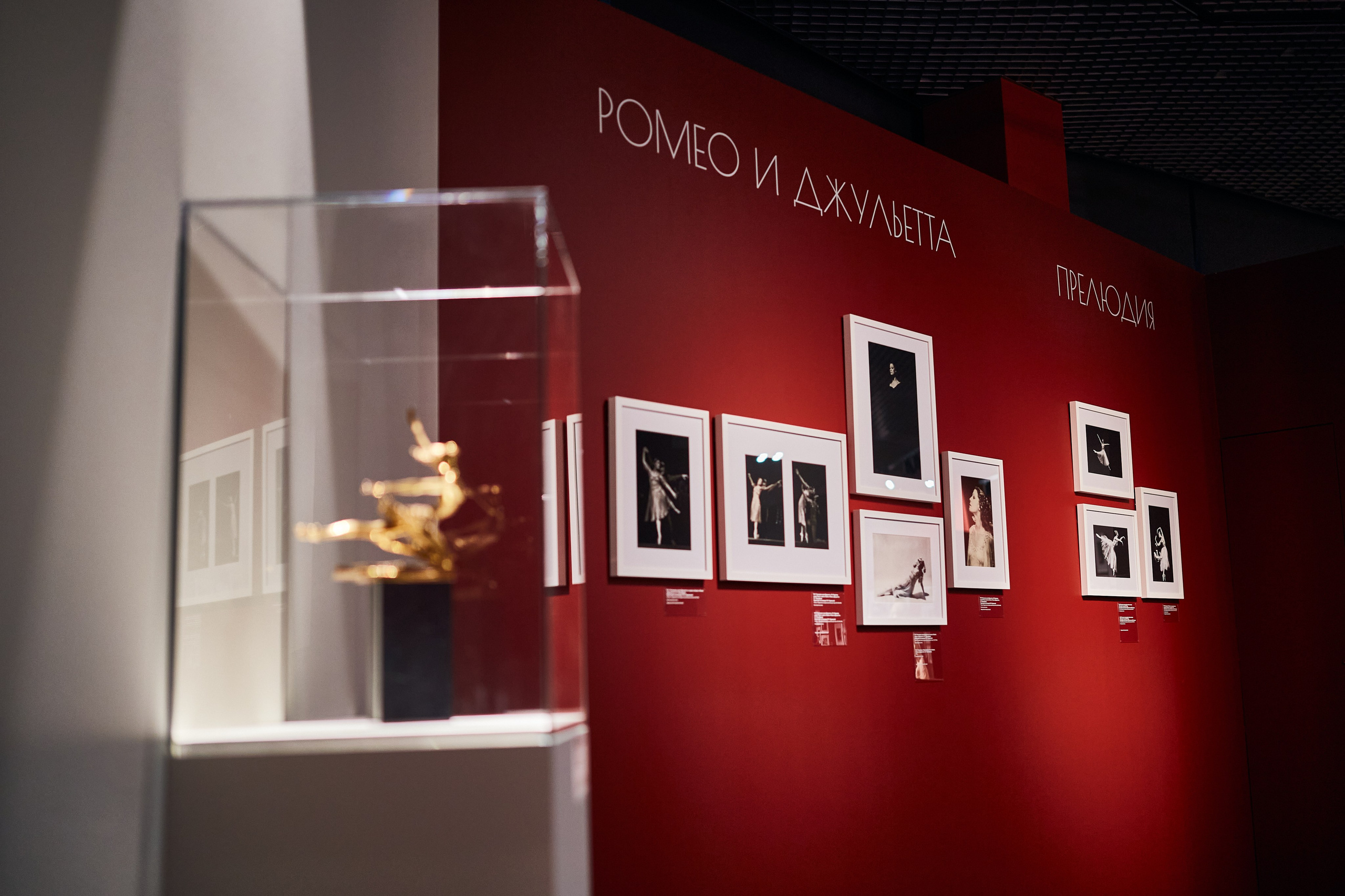 Выставка «Майя Плисецкая. Полюс магии». Даниил Гузиенко — репортажный фотограф в Туле