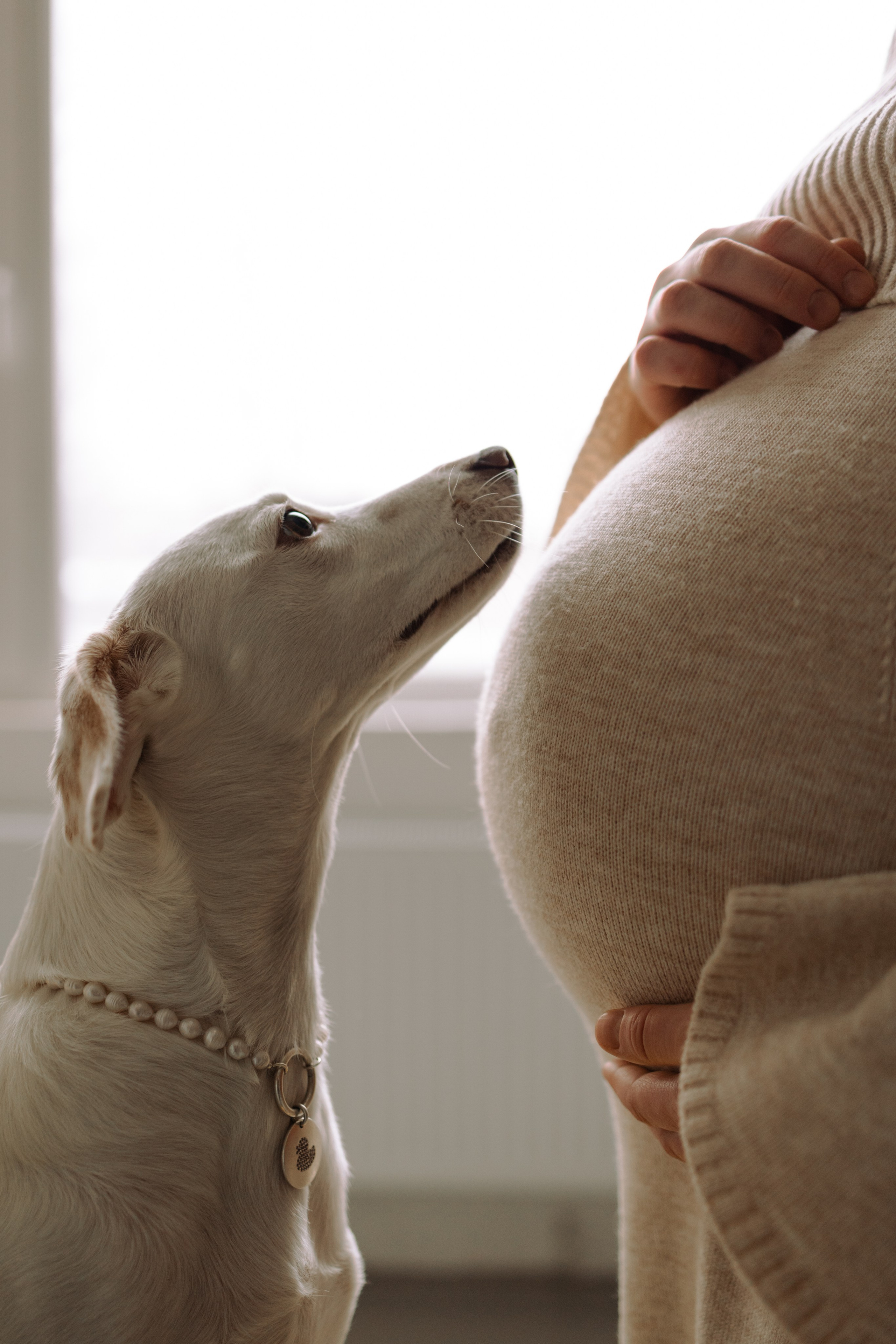 Луна и ее семья. Фотограф — Анималист | Санкт-Петербург