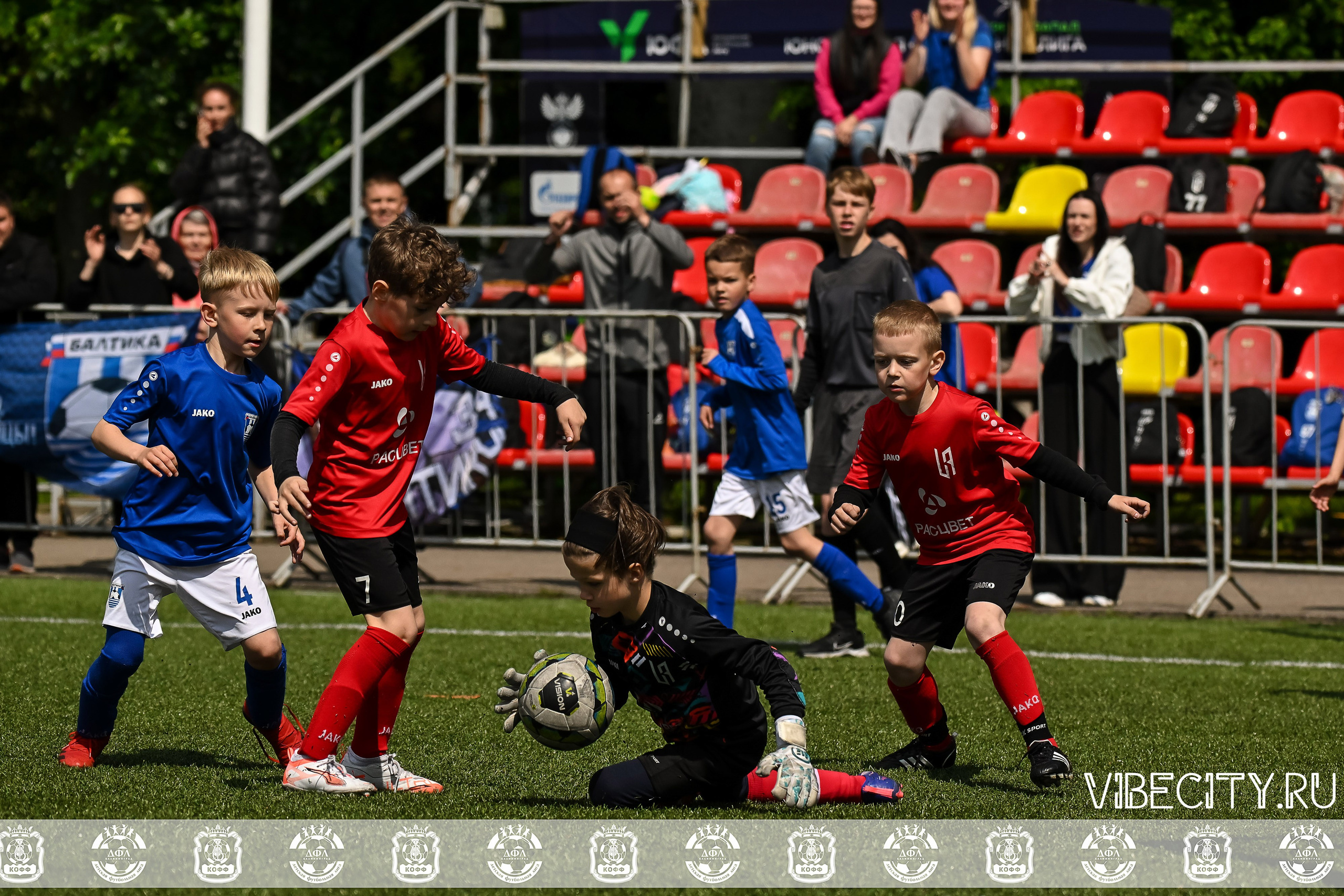 Большие Звезды светят Малым. VIBECITY.RU Вайб Сити Ру Фоторепортажи Фотоотчеты Калининград