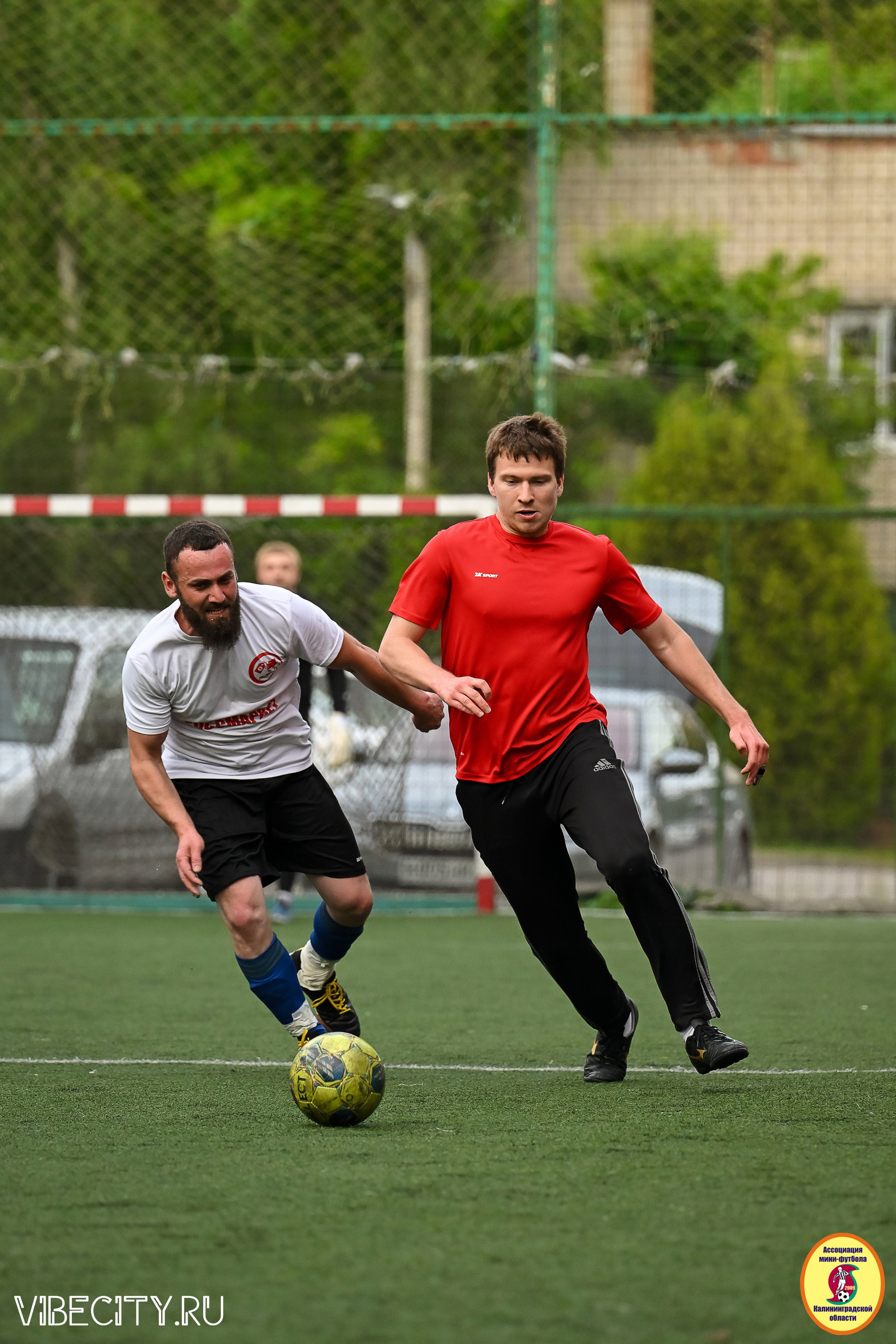 ИГРЫ МИНИ-ФУТБОЛЬНОЙ И КОРПОРАТИВНОЙ ЛИГИ. VIBECITY.RU Вайб Сити Ру Фоторепортажи Фотоотчеты Калининград
