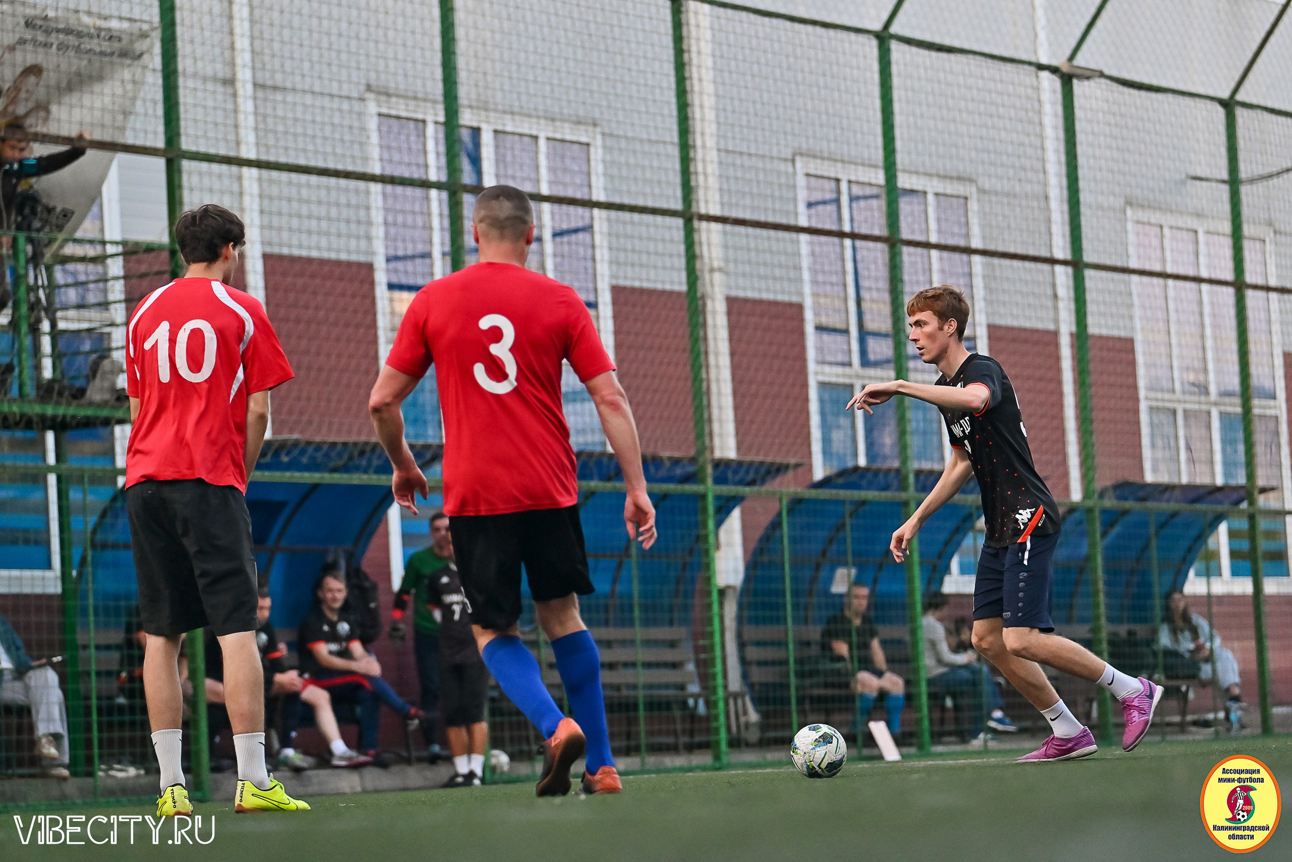 ИГРЫ ПЛЕЙ-ОФФ ПЕРВОГО ДИВИЗИОНА МИНИ-ФУТБОЛЬНОЙ ЛИГИ. VIBECITY.RU Вайб Сити Ру Фоторепортажи Фотоотчеты Калининград