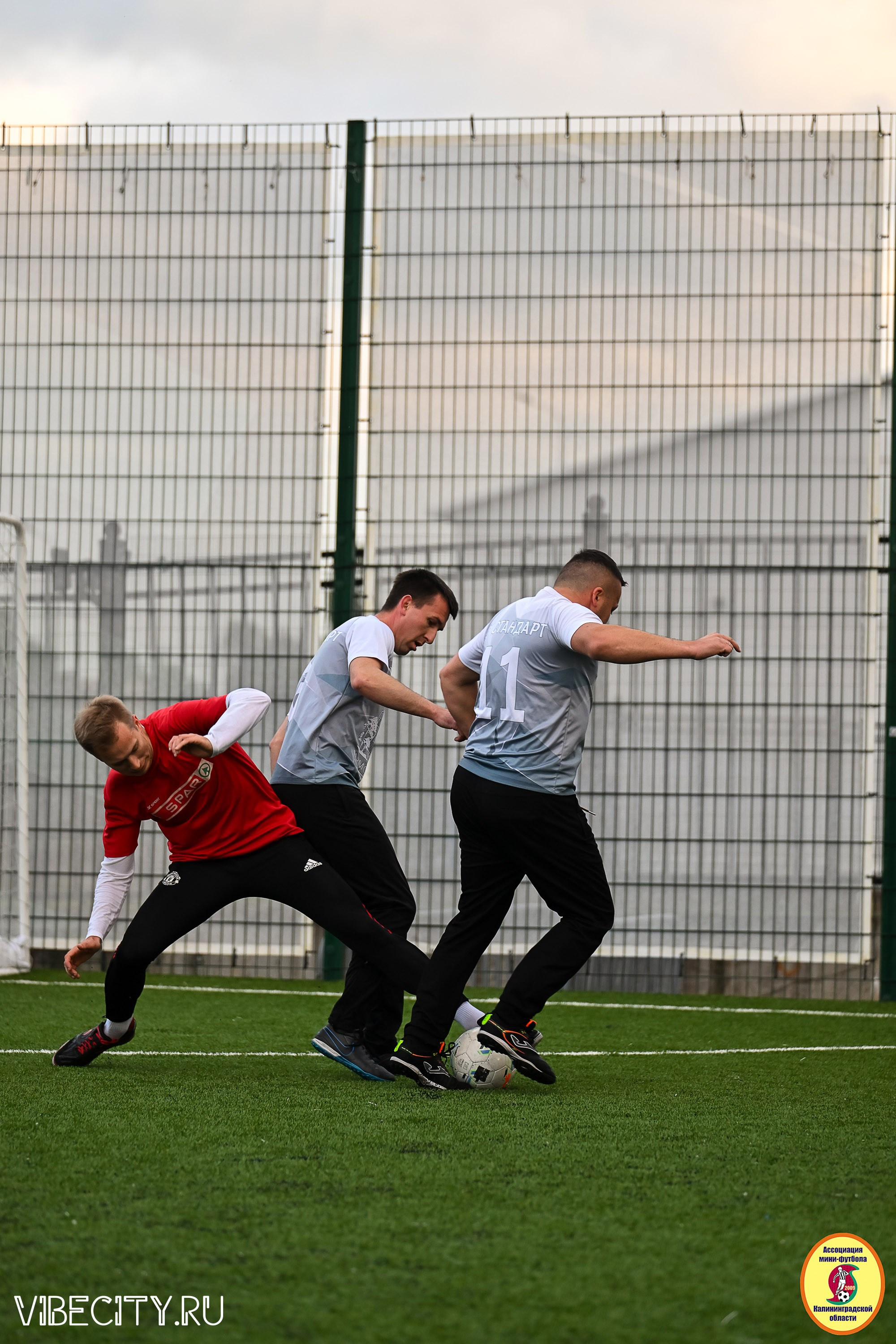 ИГРЫ МИНИ-ФУТБОЛЬНОЙ ЛИГИ. VIBECITY.RU Вайб Сити Ру Фоторепортажи Фотоотчеты Калининград