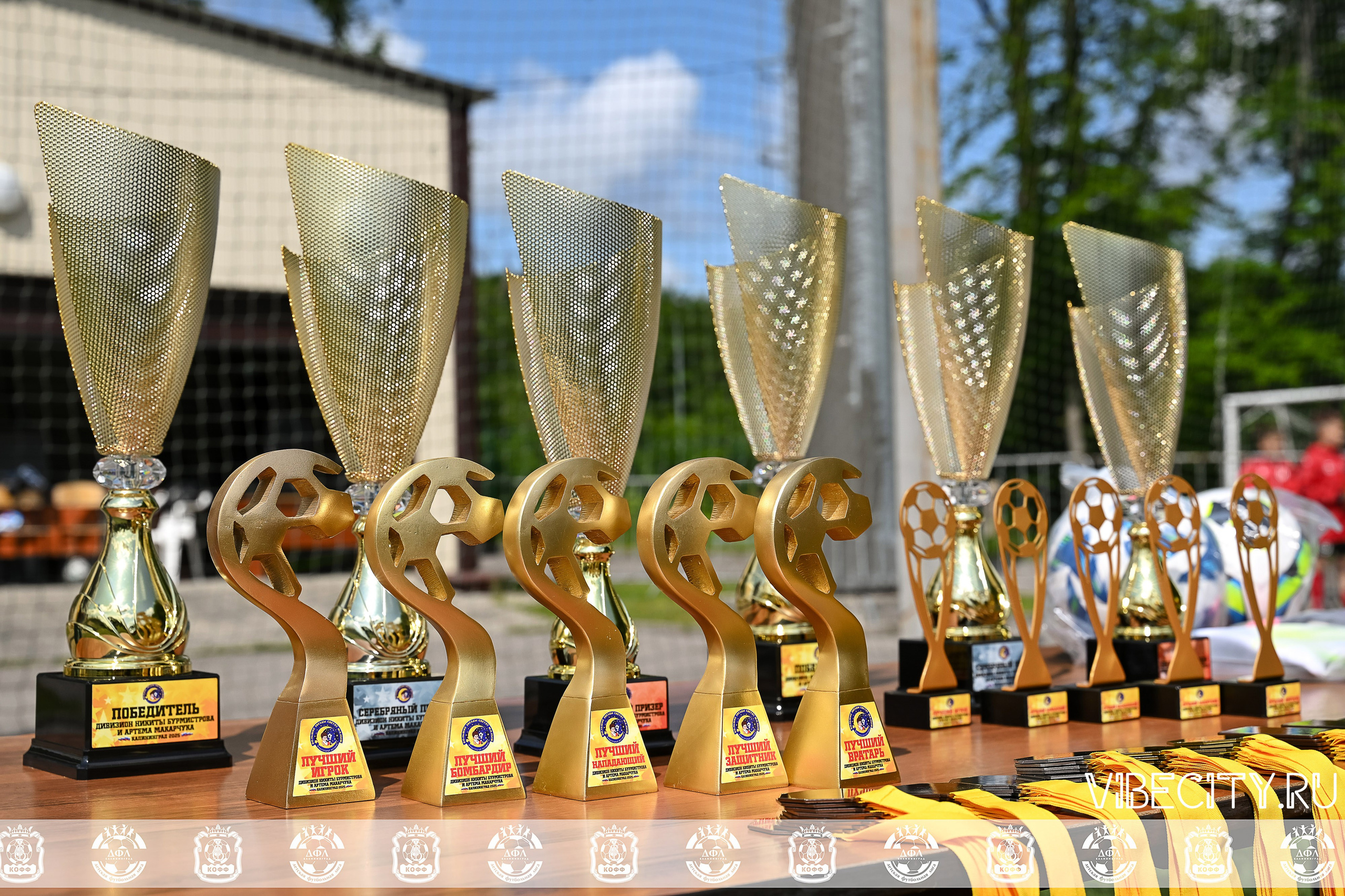 Большие Звезды светят Малым. VIBECITY.RU Вайб Сити Ру Фоторепортажи Фотоотчеты Калининград