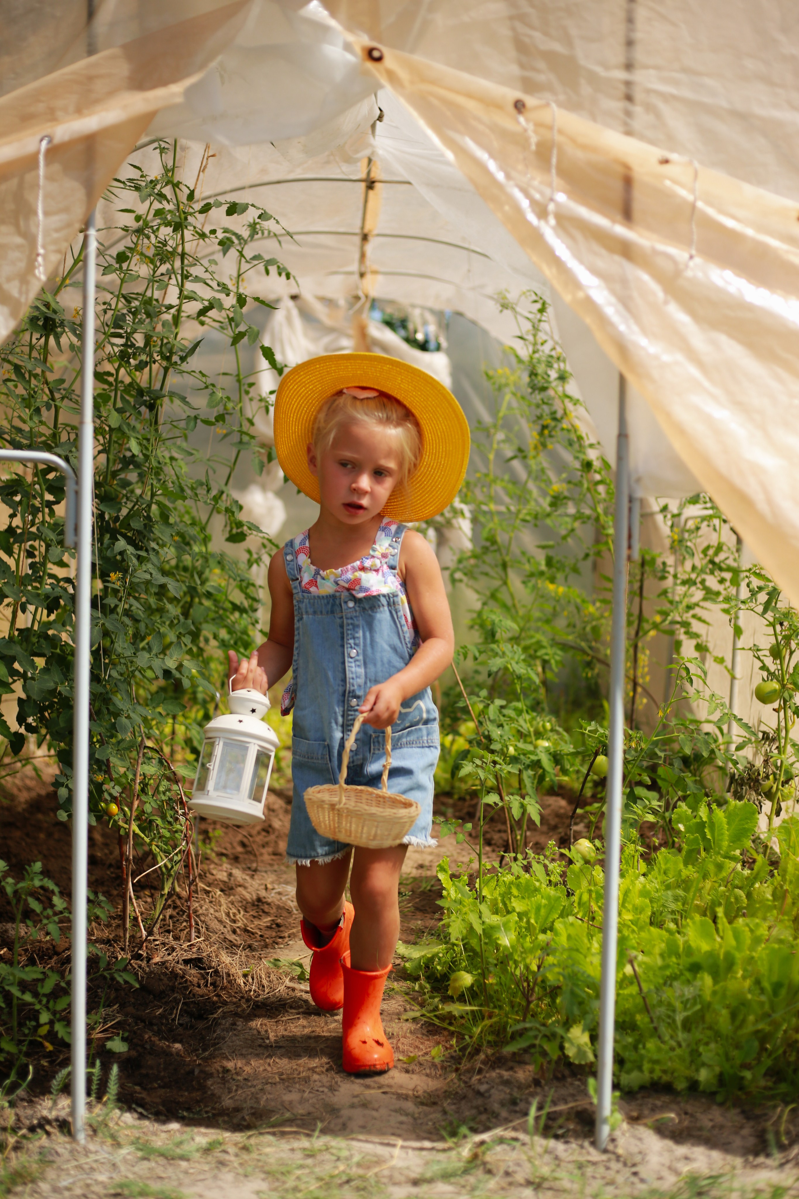 Прогулка на закате | Лиза, Лея и Наташа. Семейный фотограф в Москве и МО Варвара Шаранова